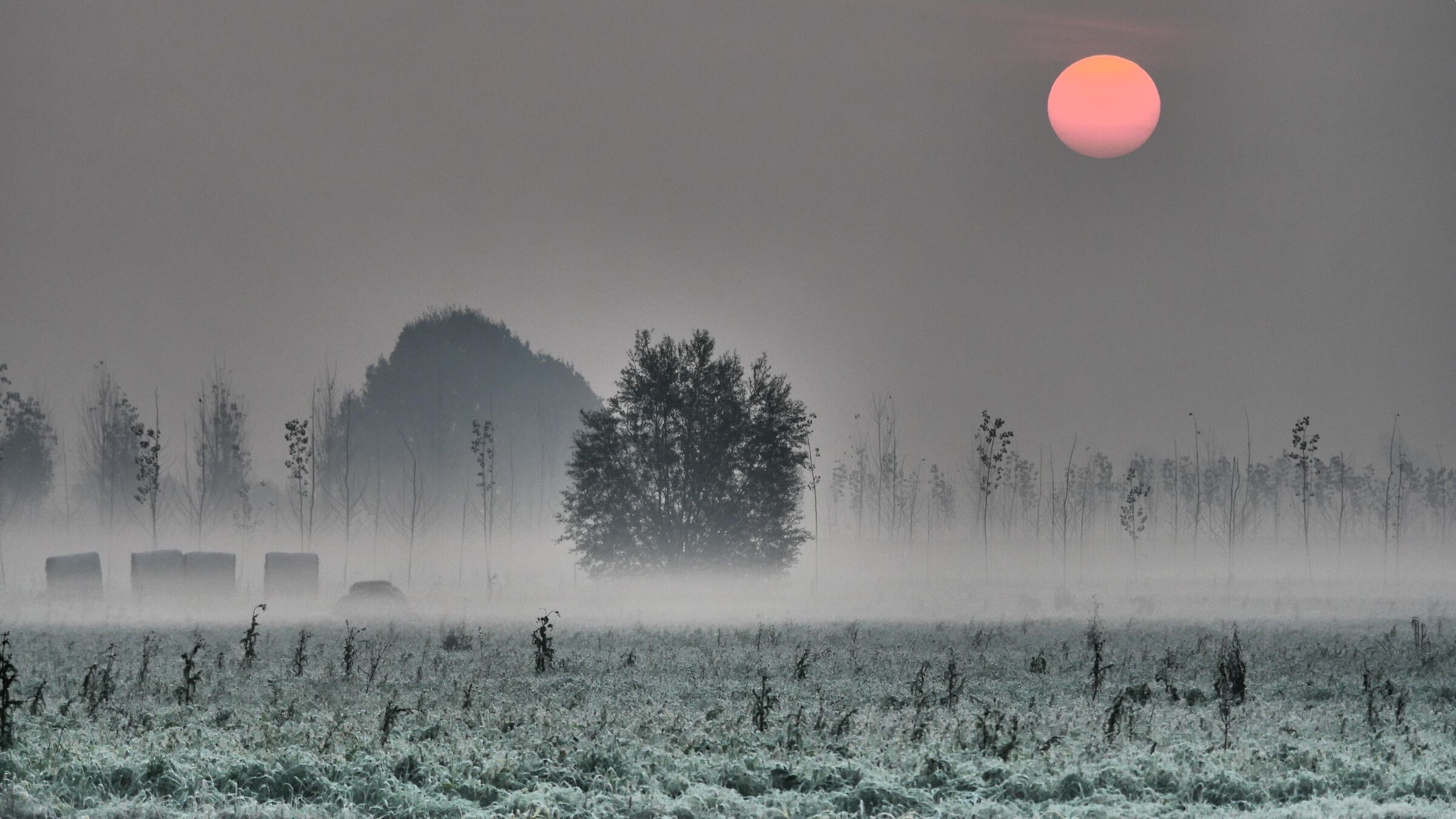 alba in partecipanza