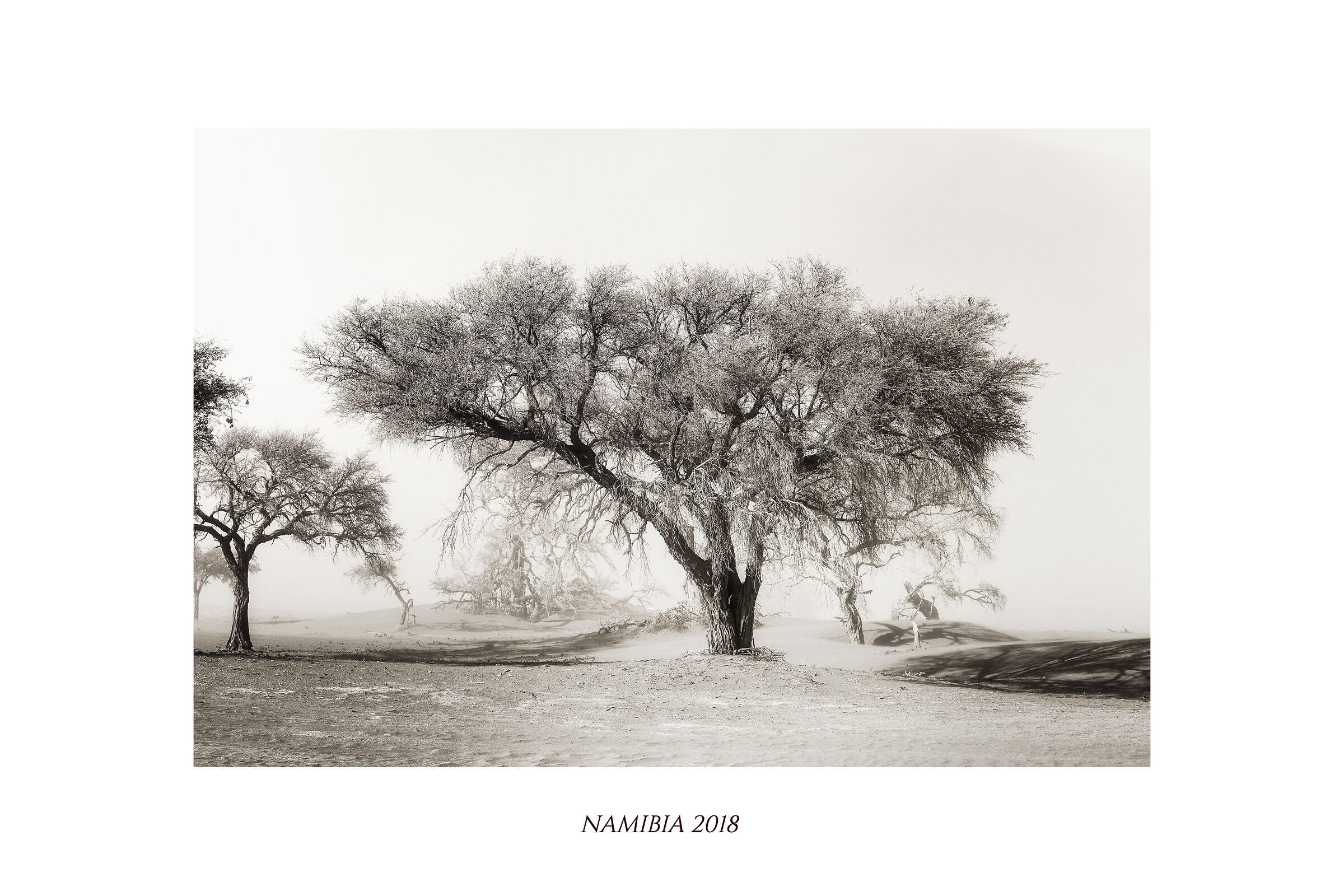 Sandstorm on the Namib