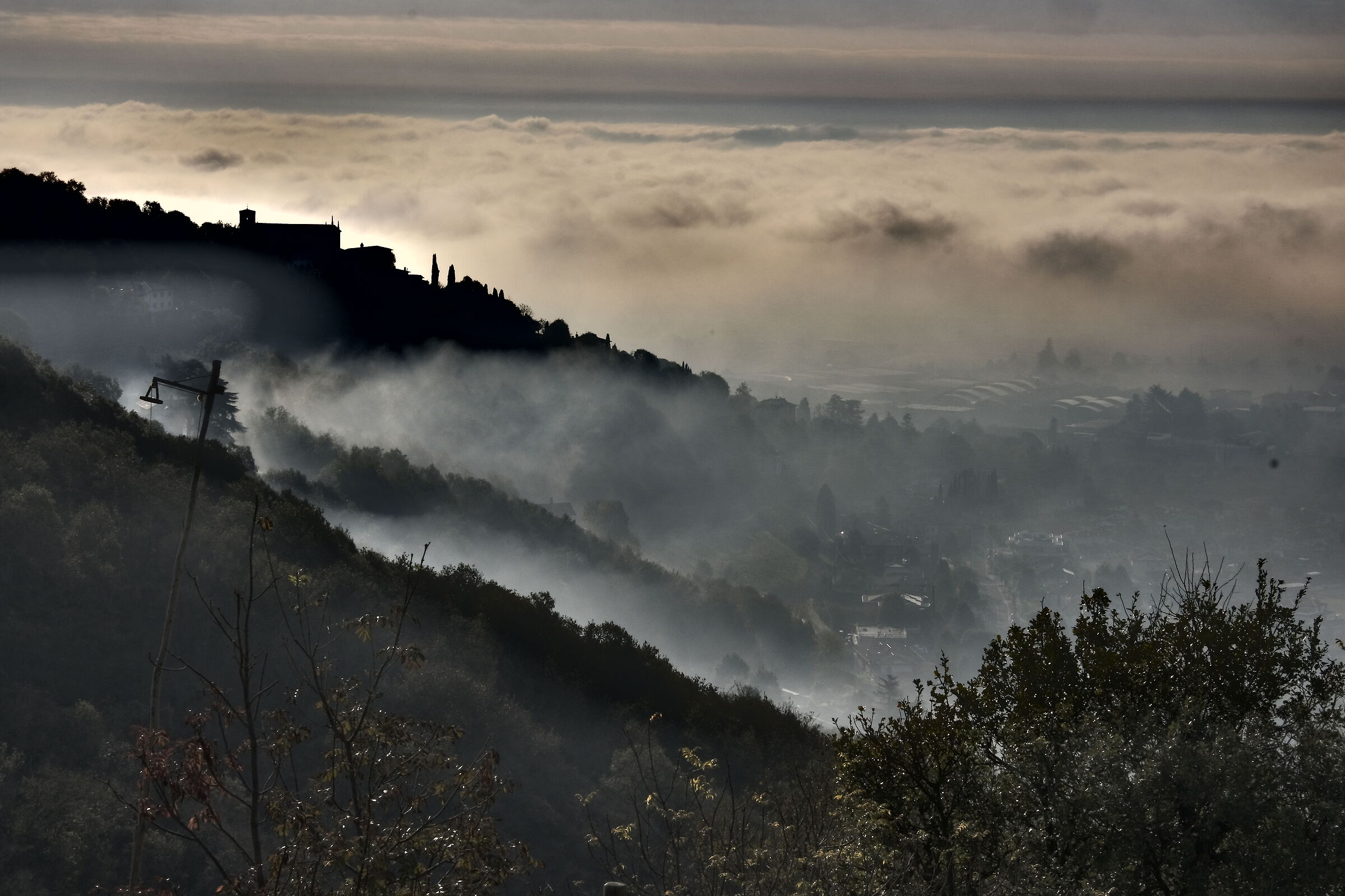 above the fog