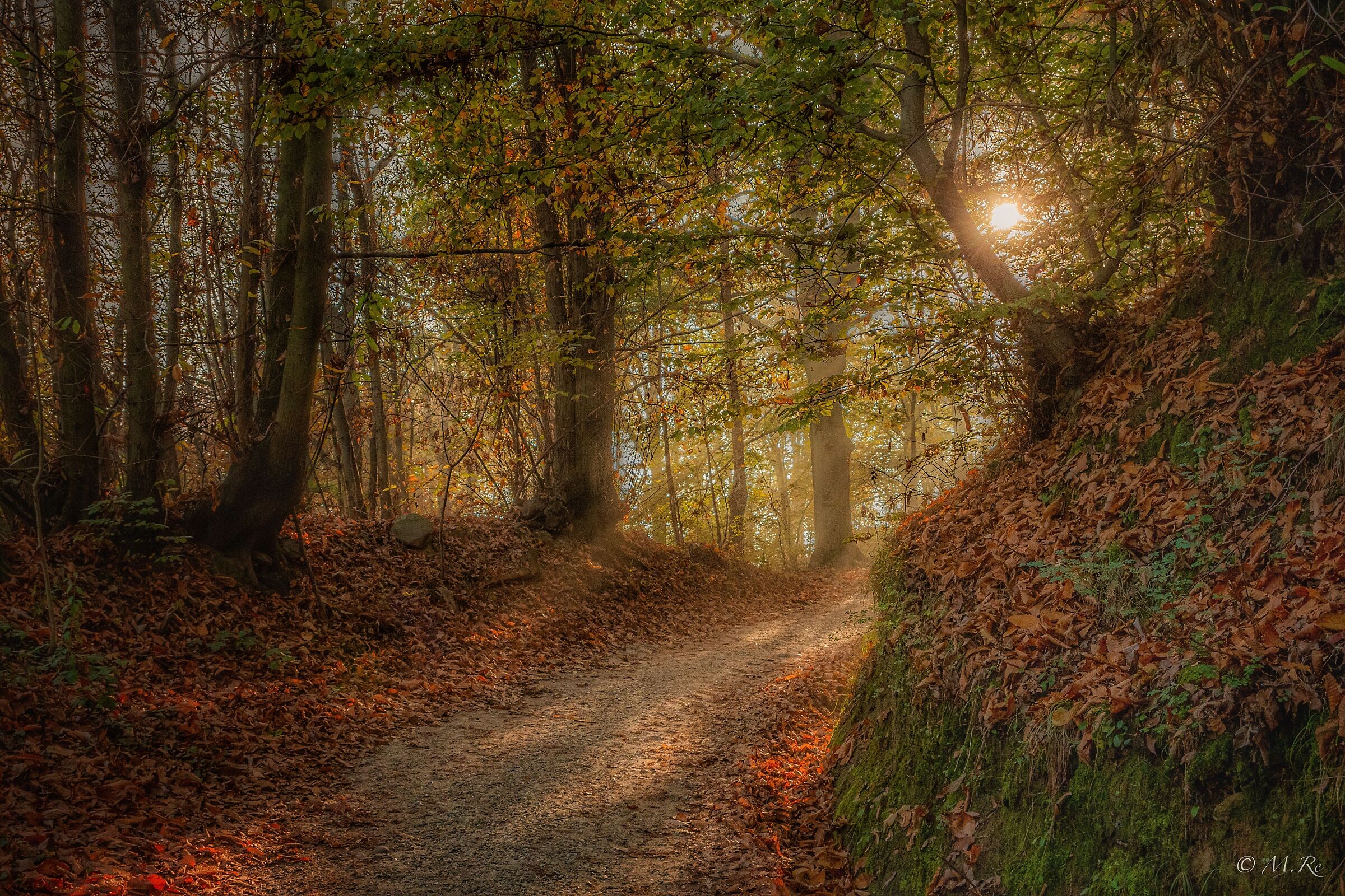Autumn light and colours