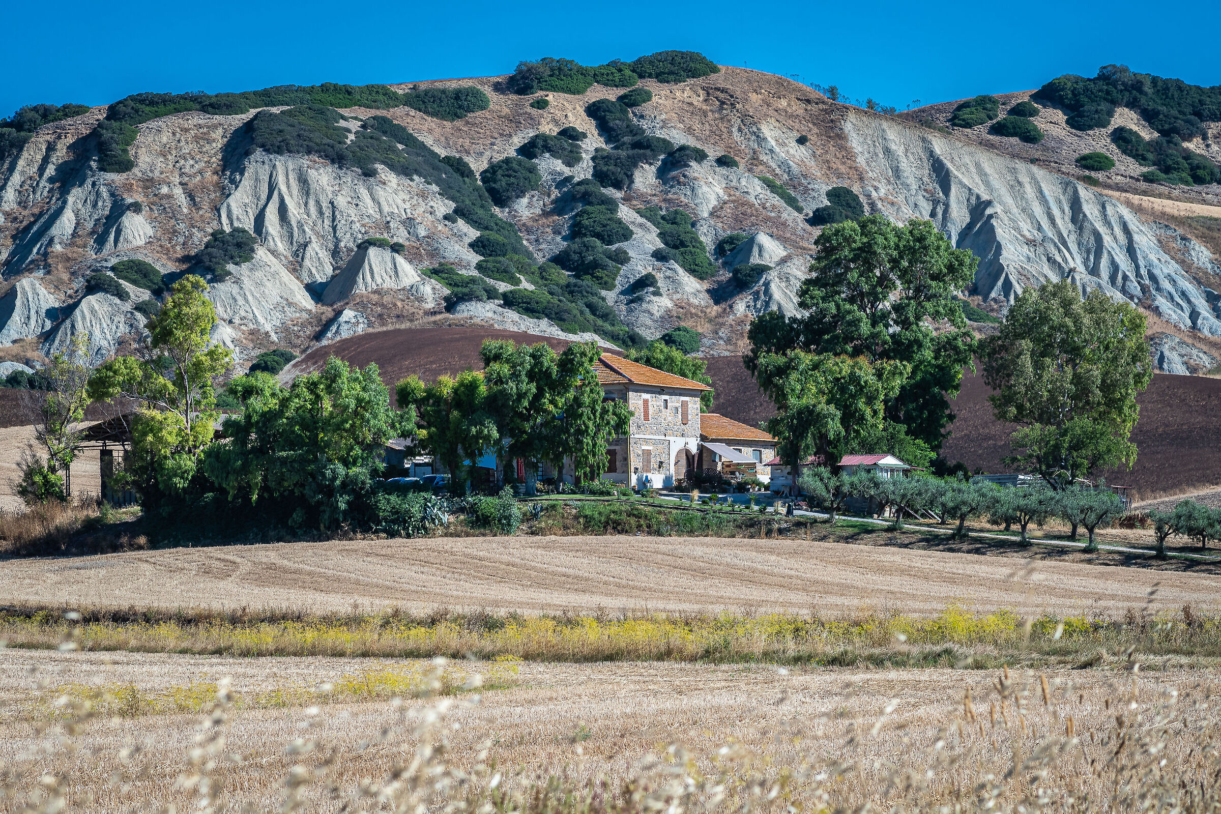 Countryside #2