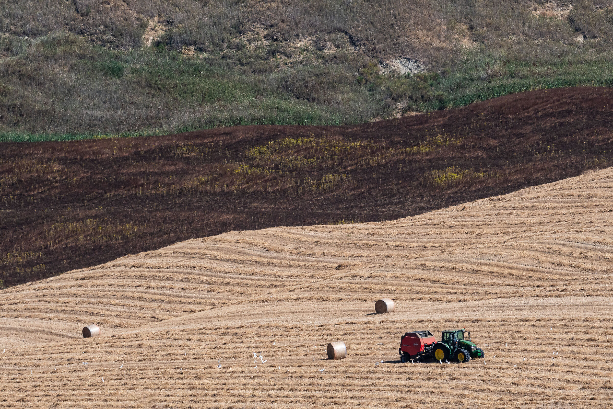 Countryside #3