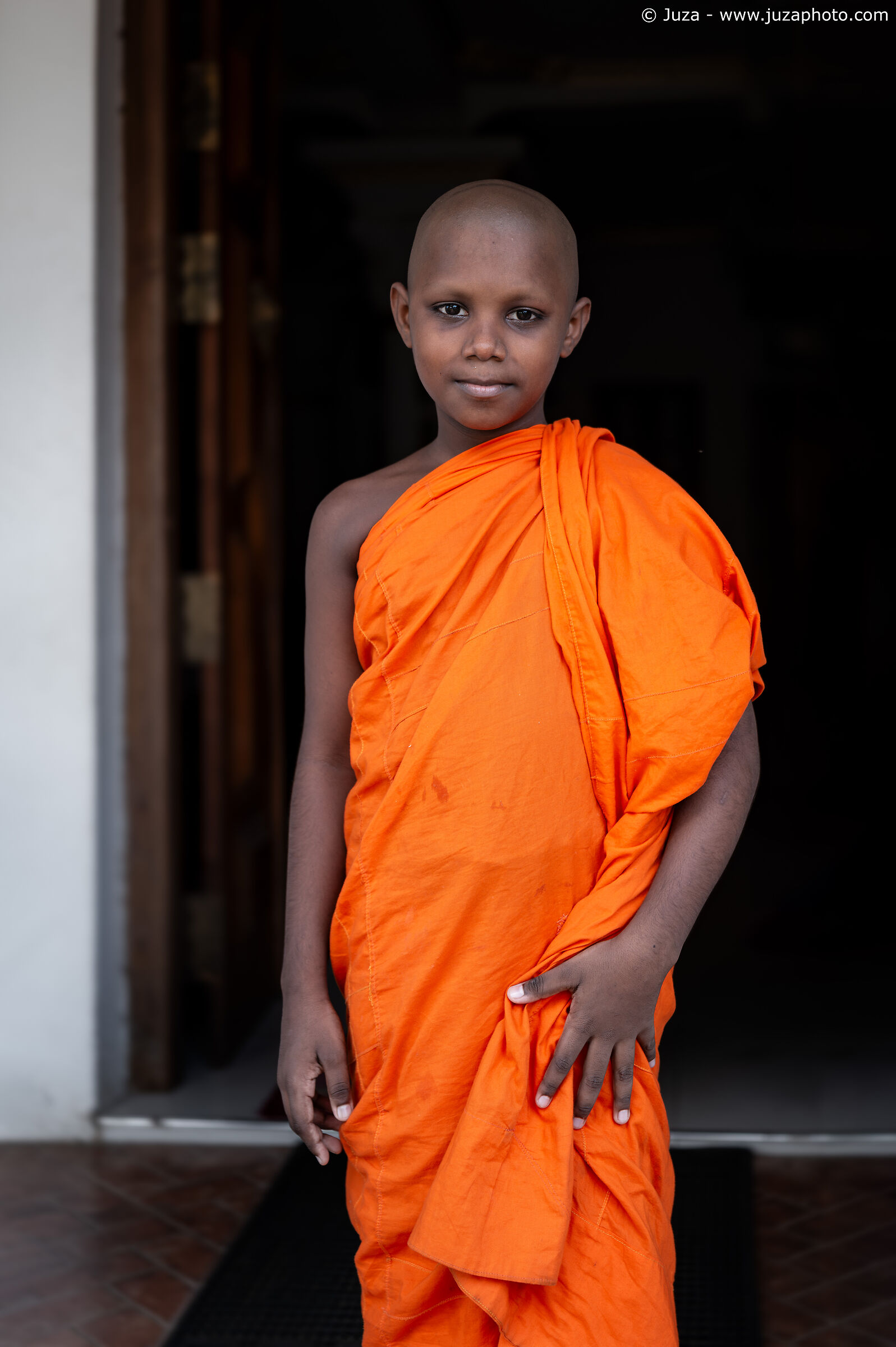 Monaco bambino, Dambulla
