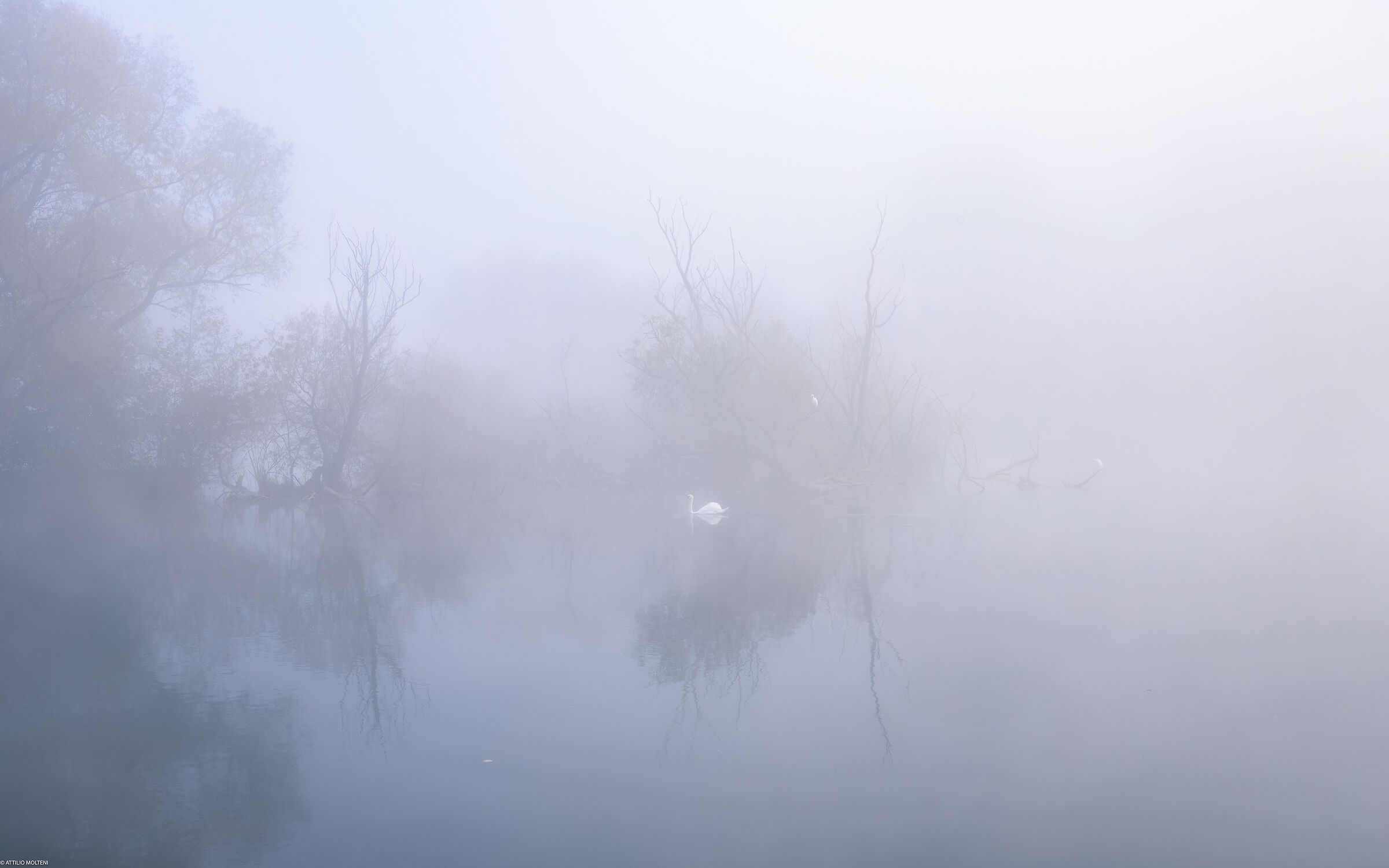 Along the river with the fog