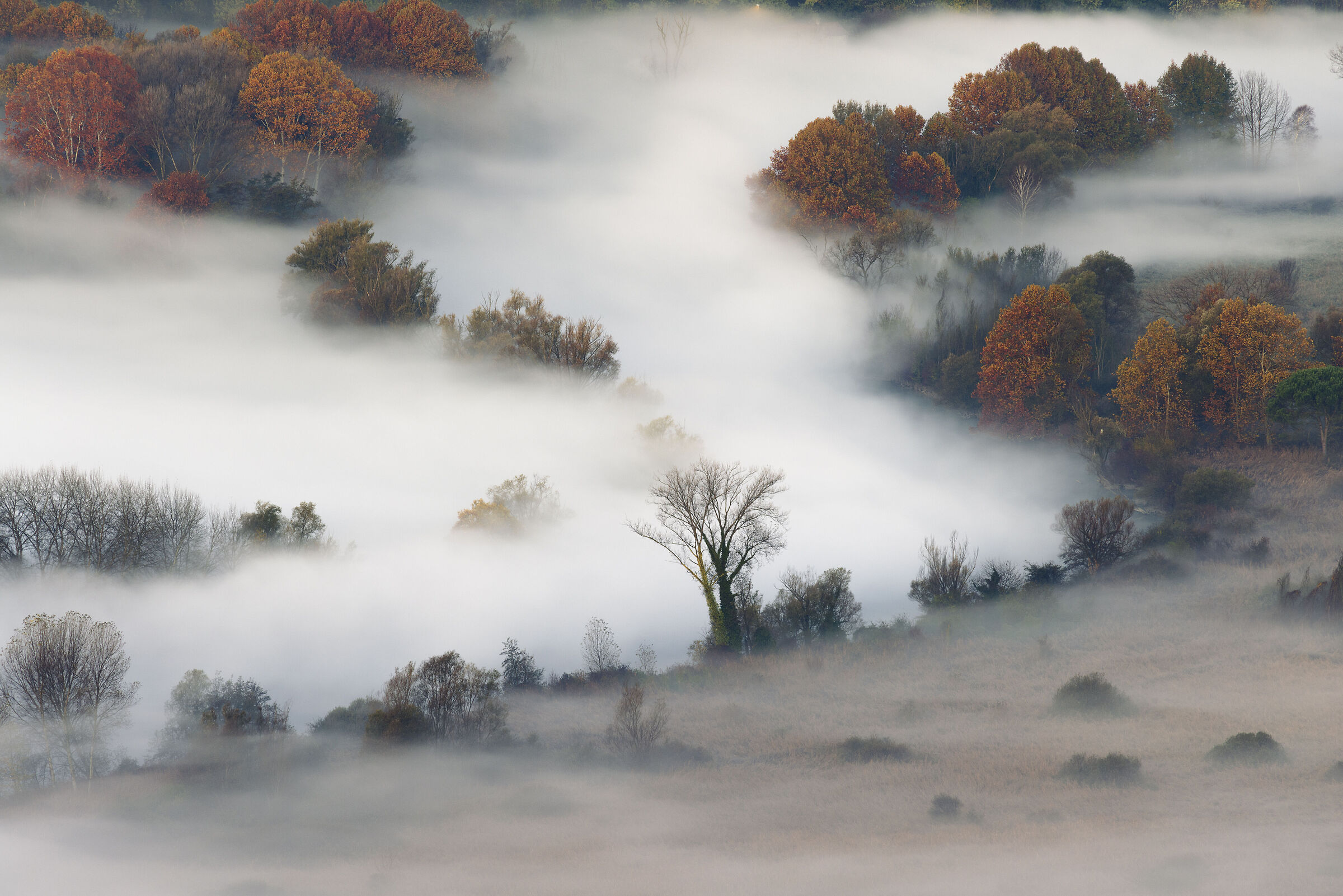 Autumn Mists