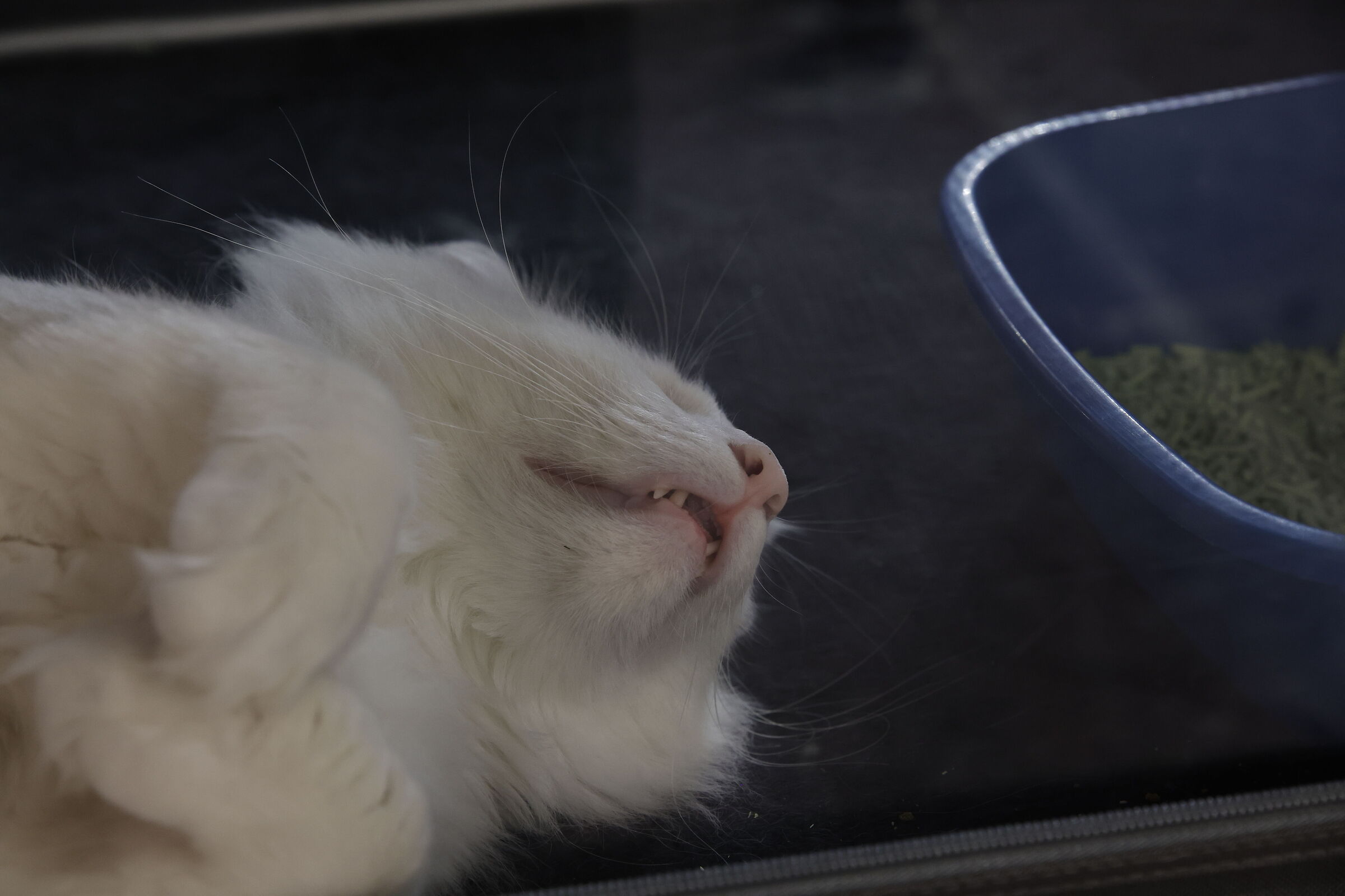 The Science of Sleep, applied