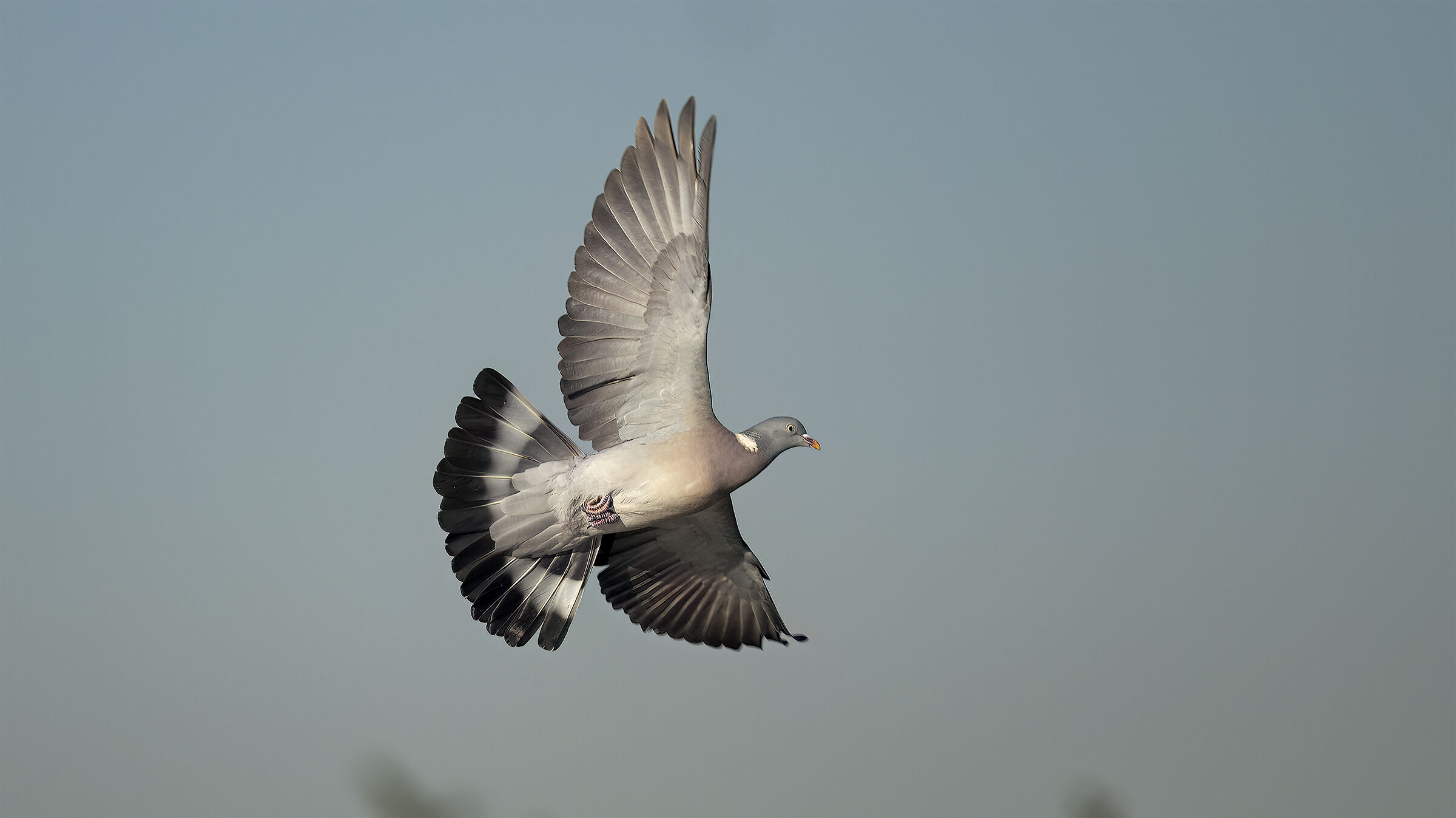 prove con il 300 gm3