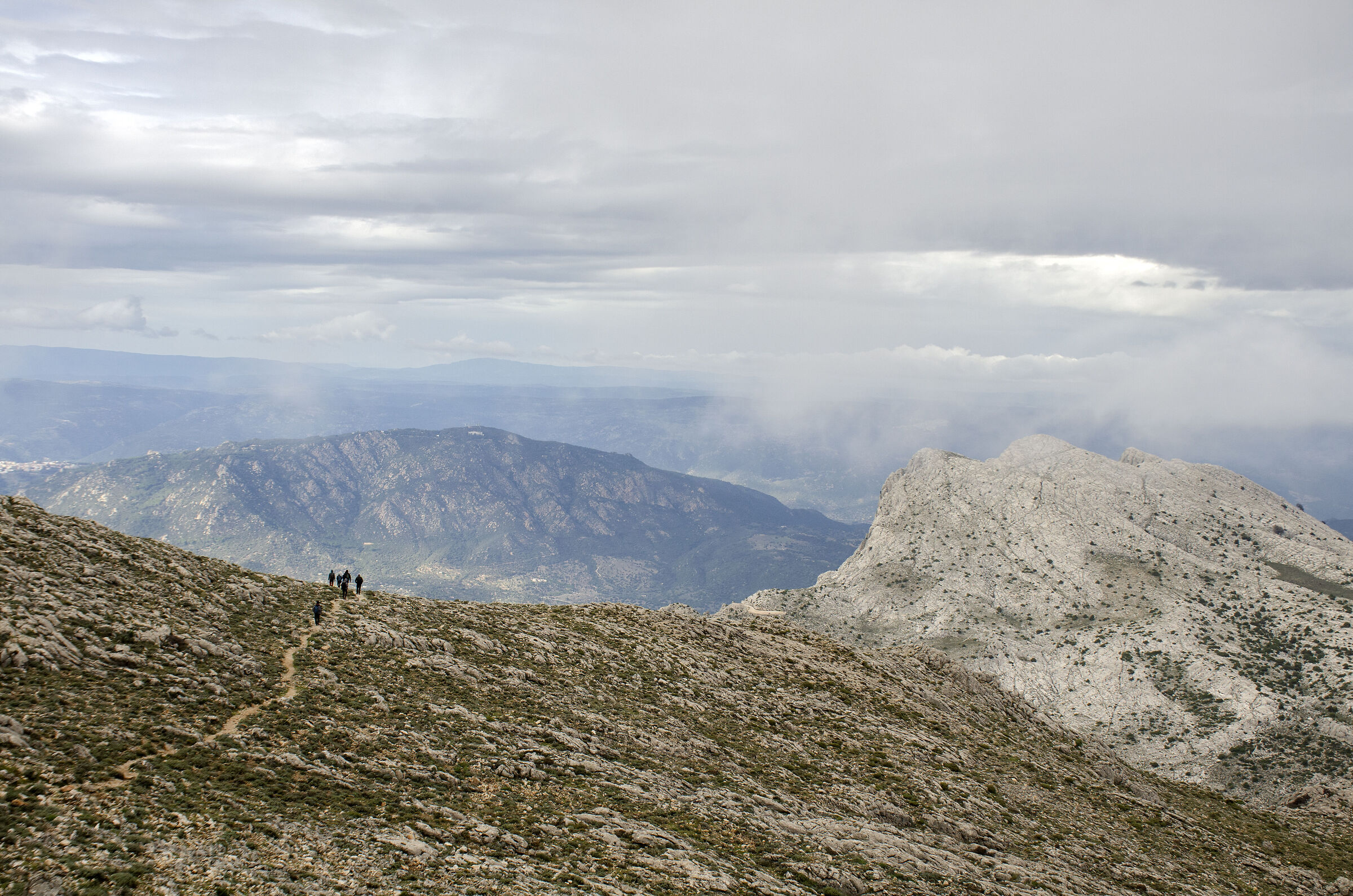 Sulla vetta del Supramonte