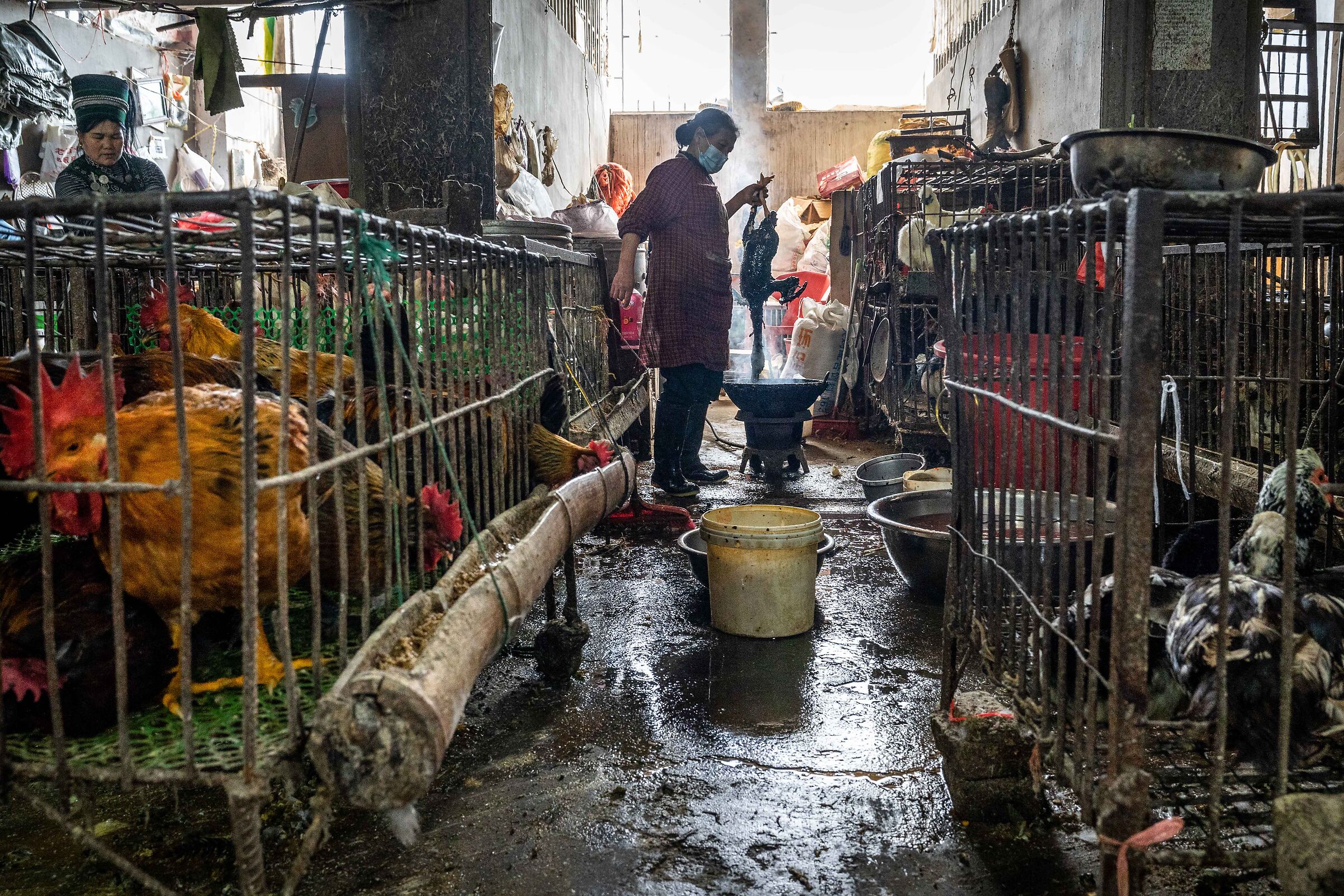 The Market
