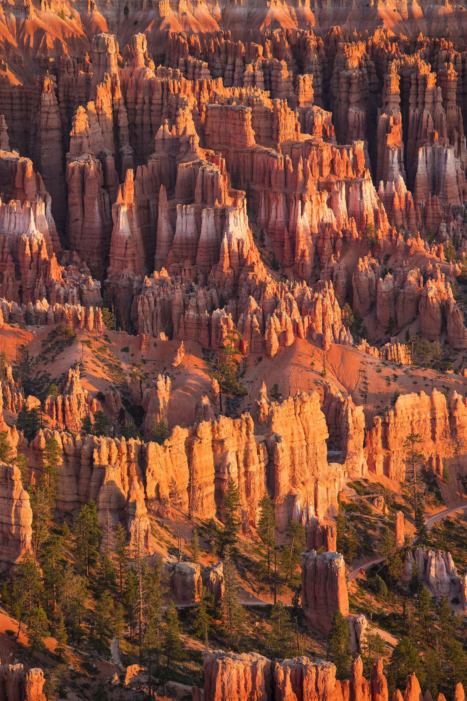 Bryce National Park