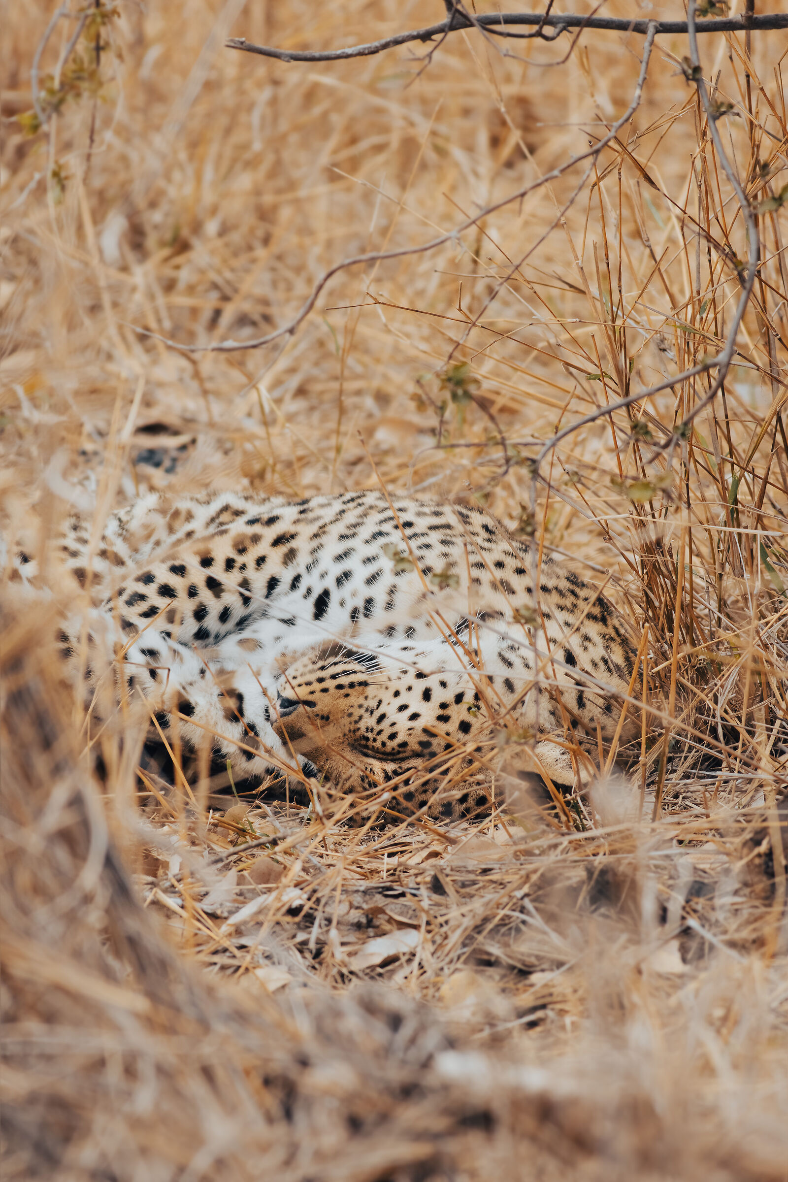 A moment of rest