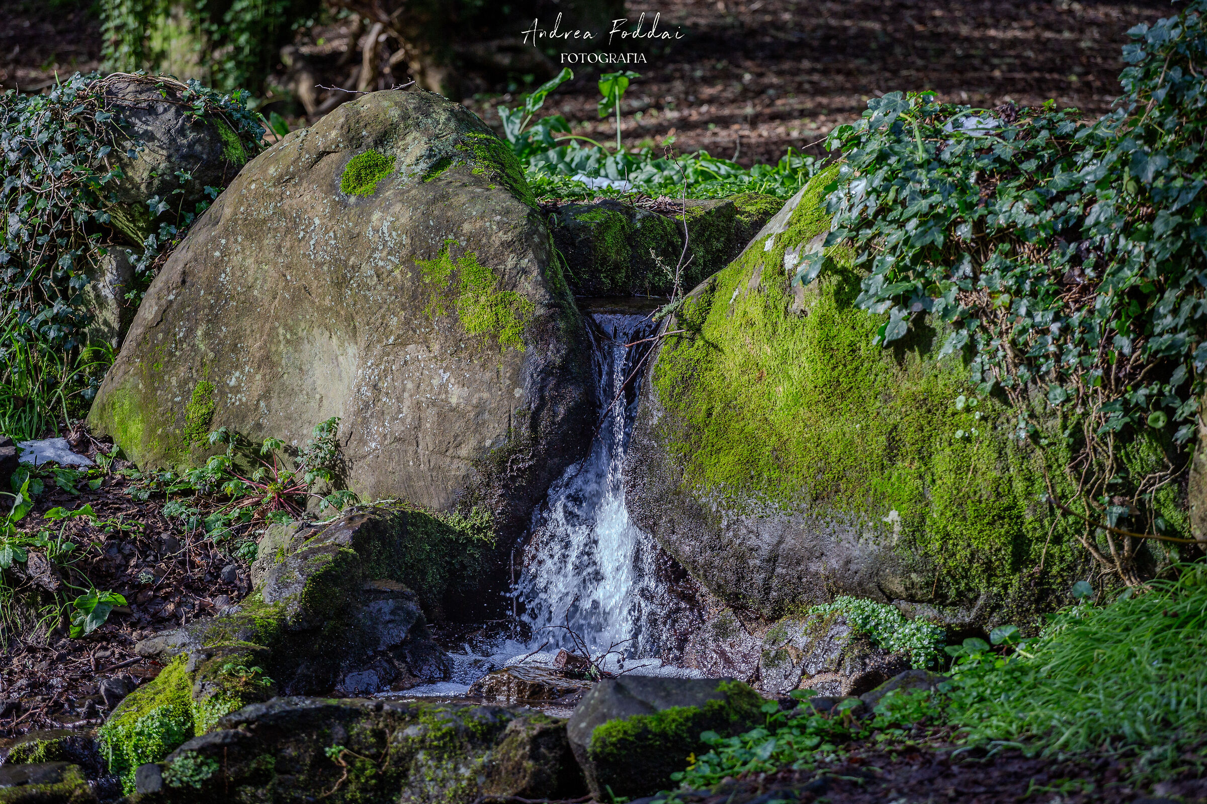 Fonti Siete Fuentes - San Leonardo (Or)