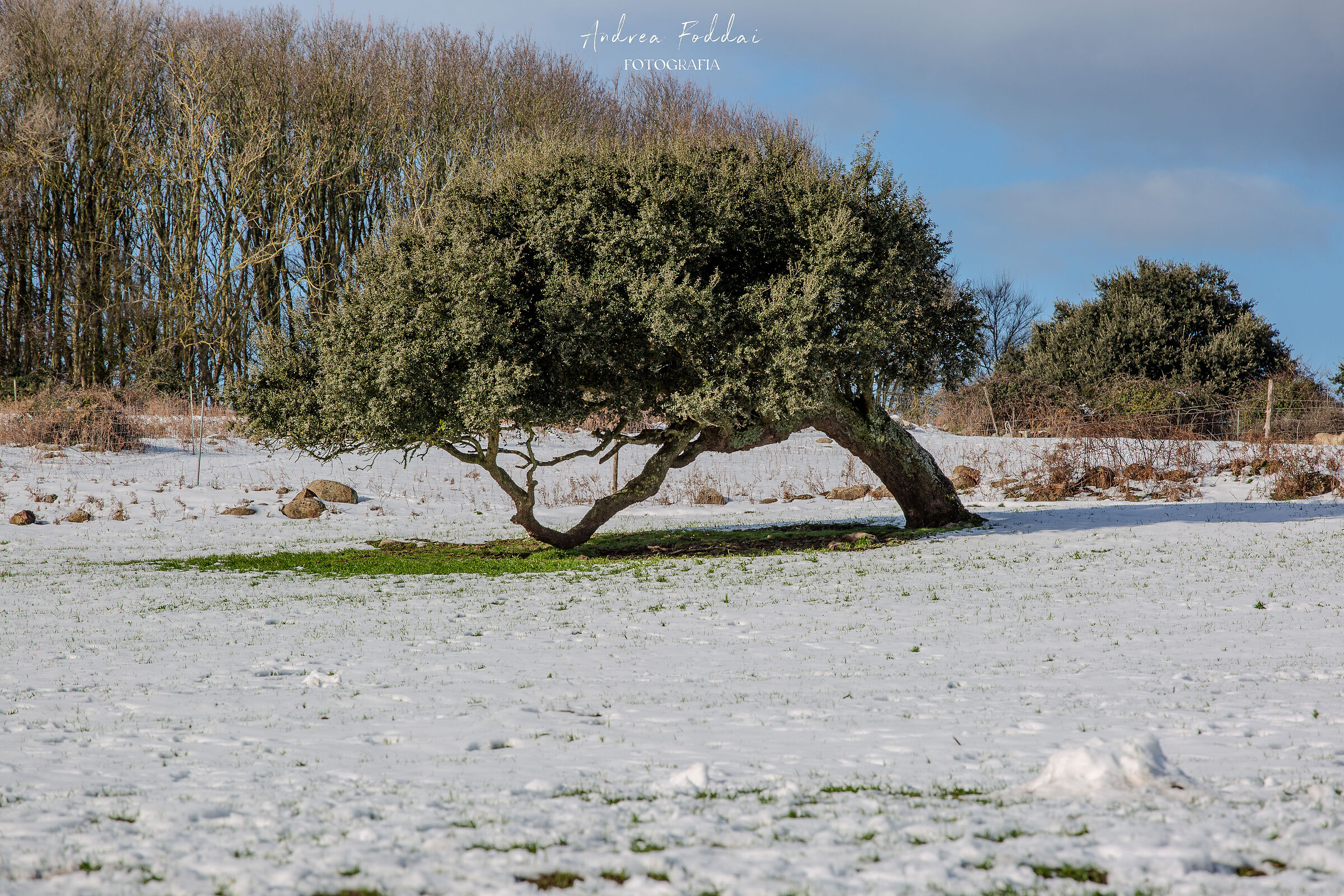 Neve a San Leonardo (OR)