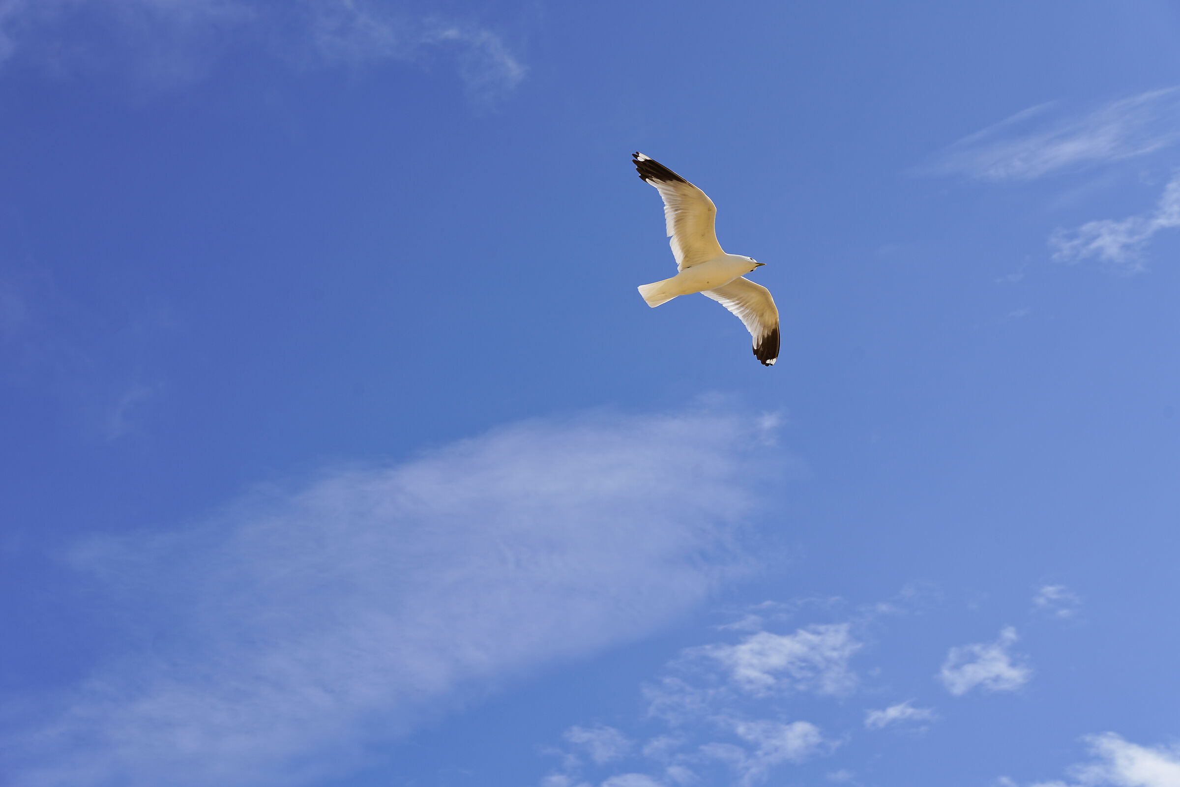 e poi, metti le ali alla tua vita...