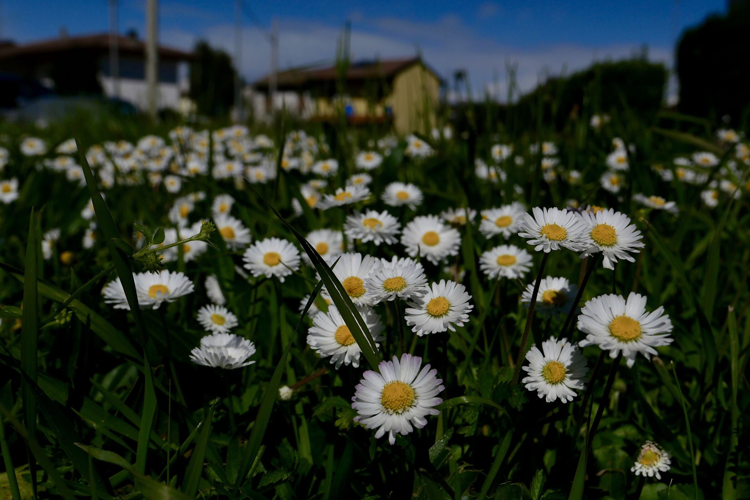 Untitled Photo