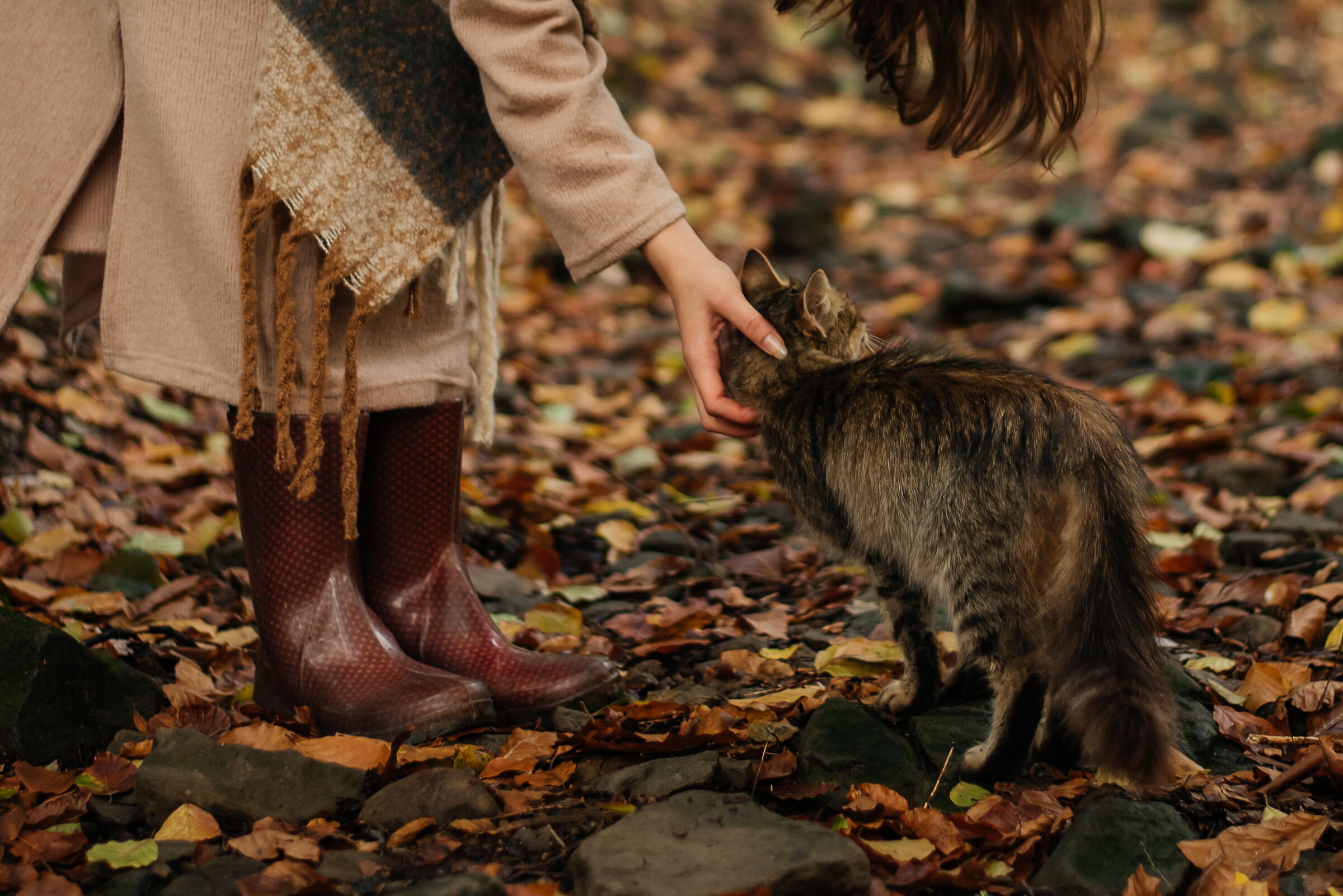 il mondo ha bisogno di calore