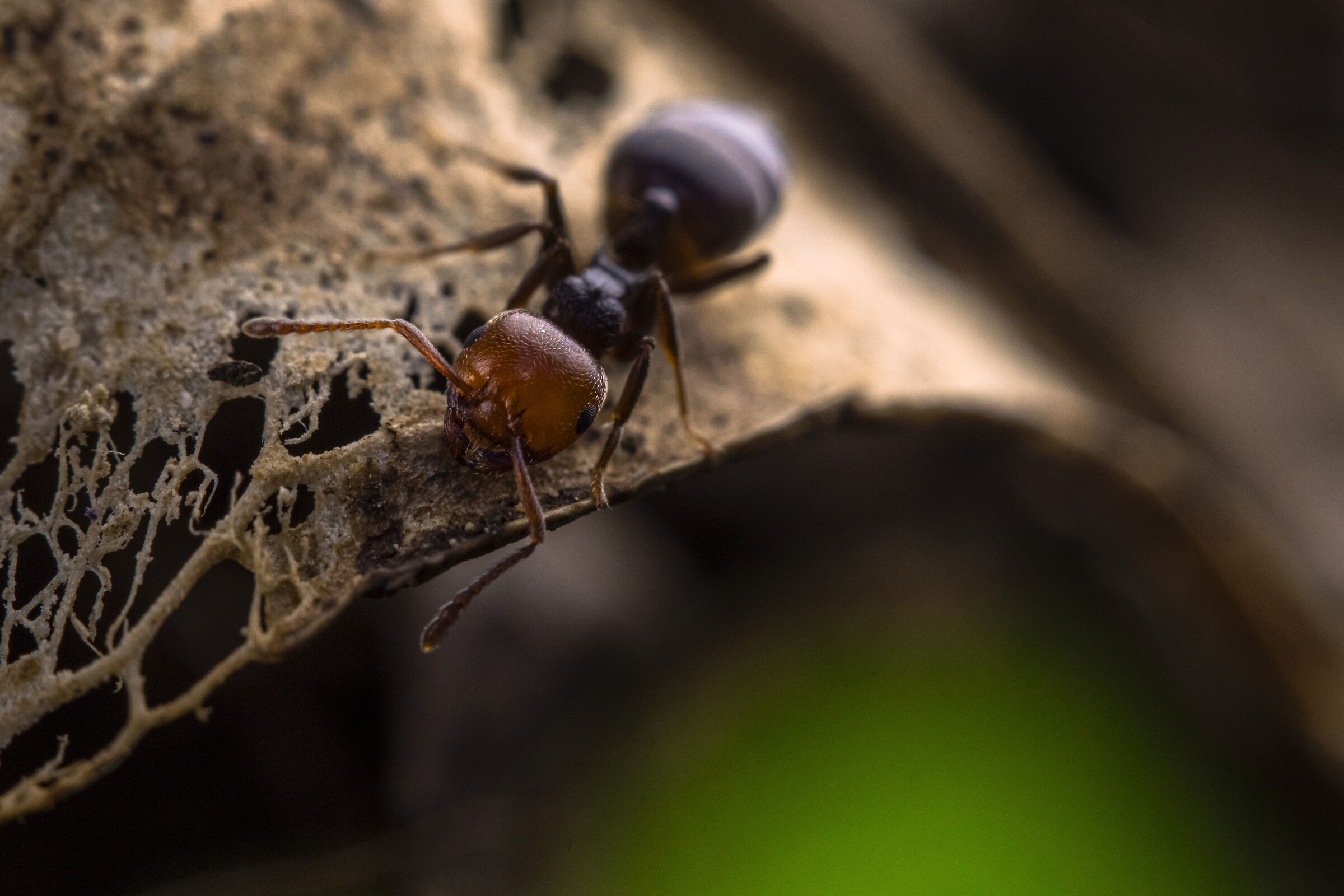 Cercando tra quello che era