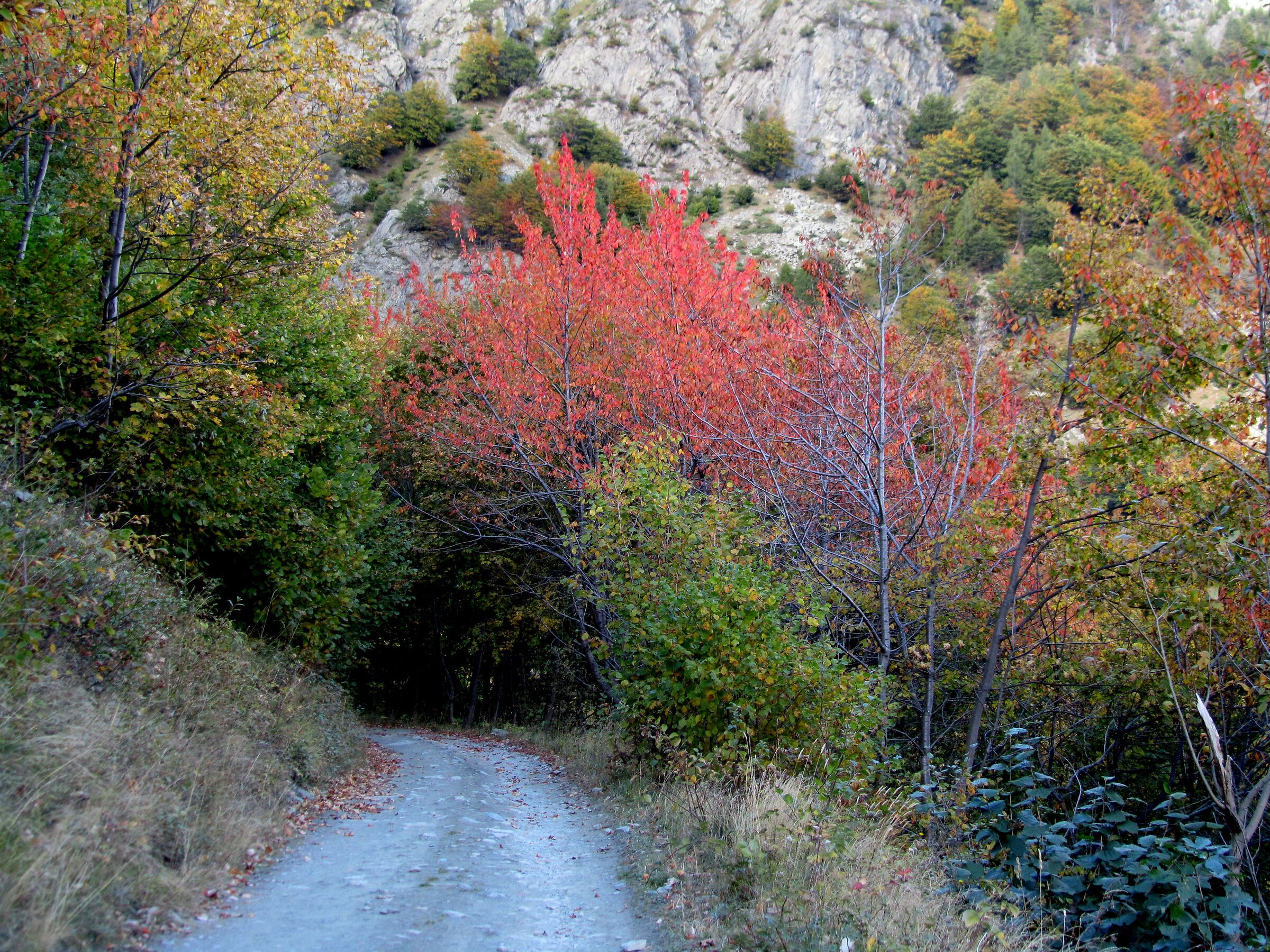 towards the Prà basin 1