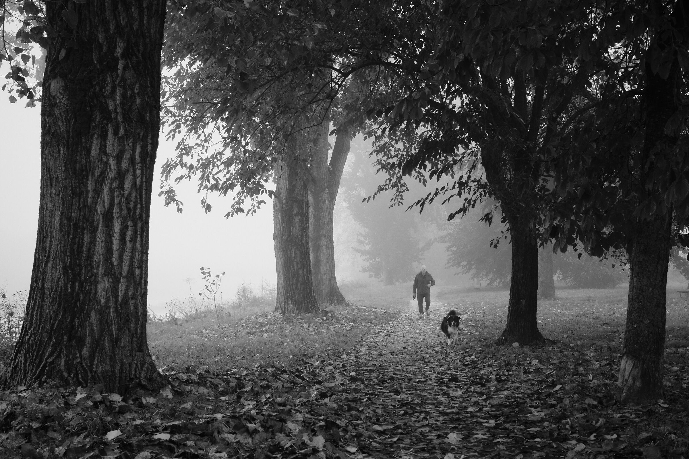 Passeggiando nel parco