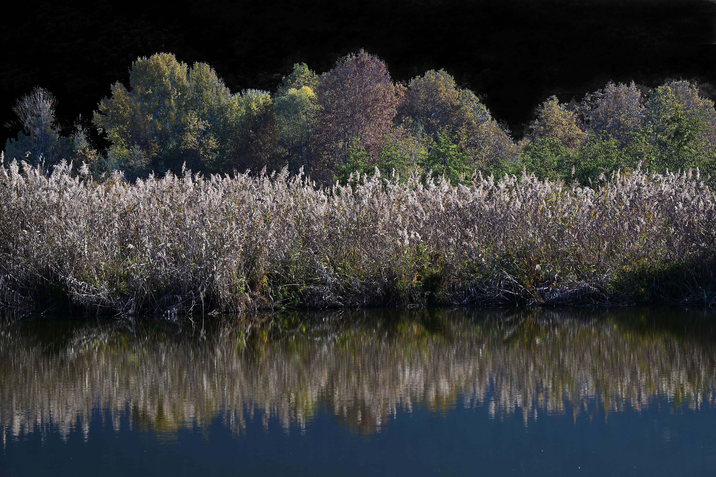Magical Autumn -1
