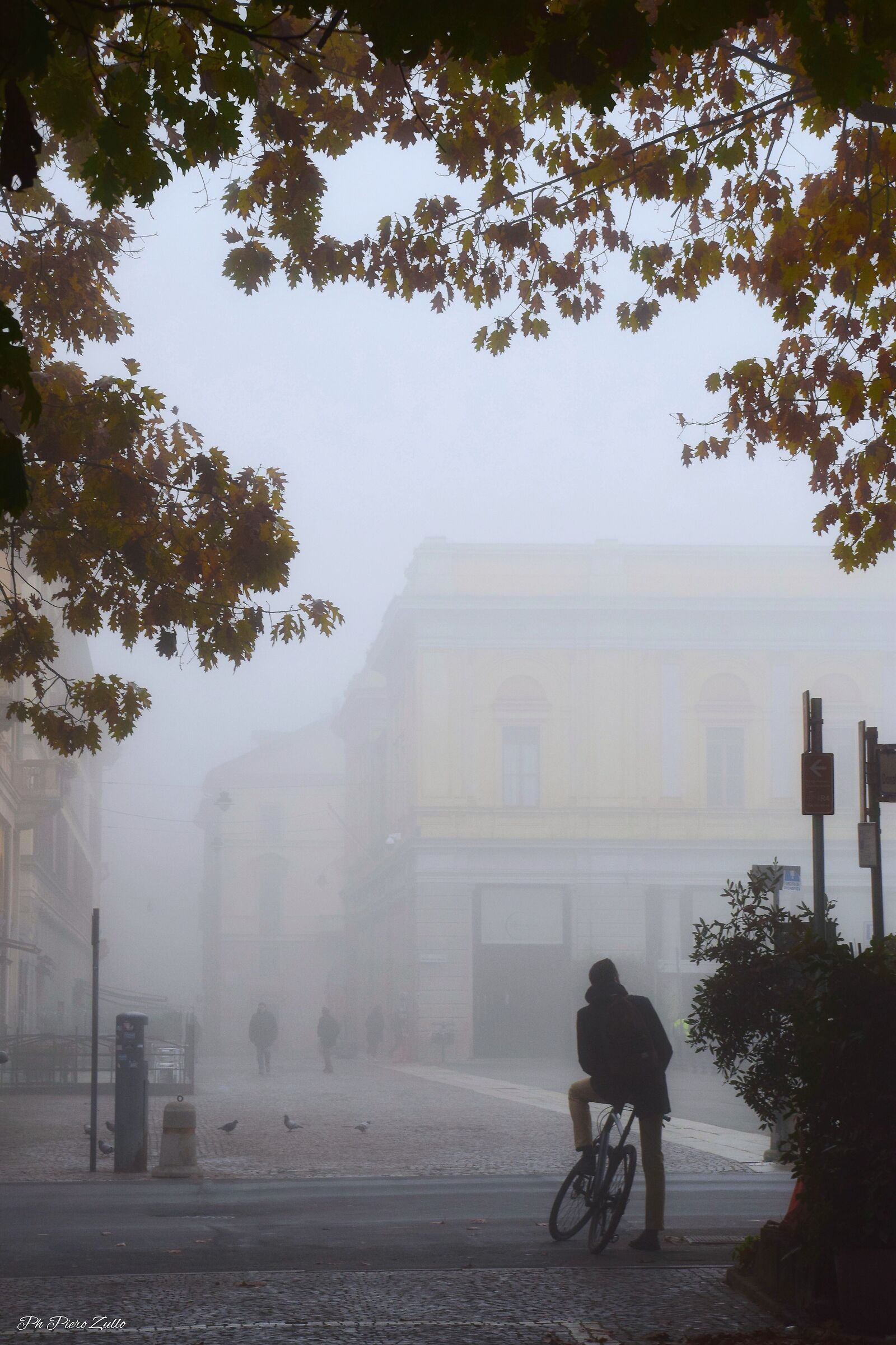 Nella nebbia