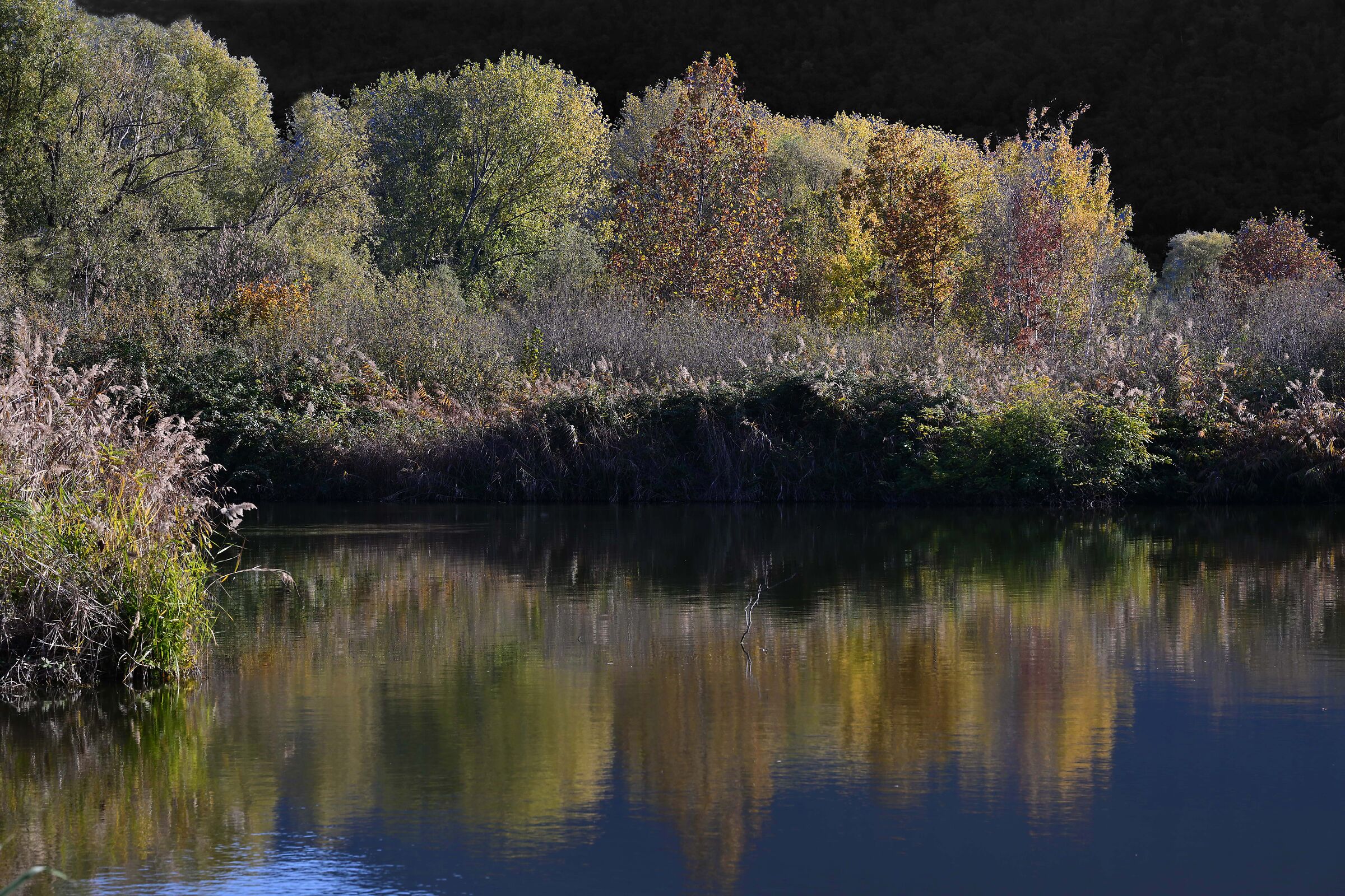 Magical Autumn 2
