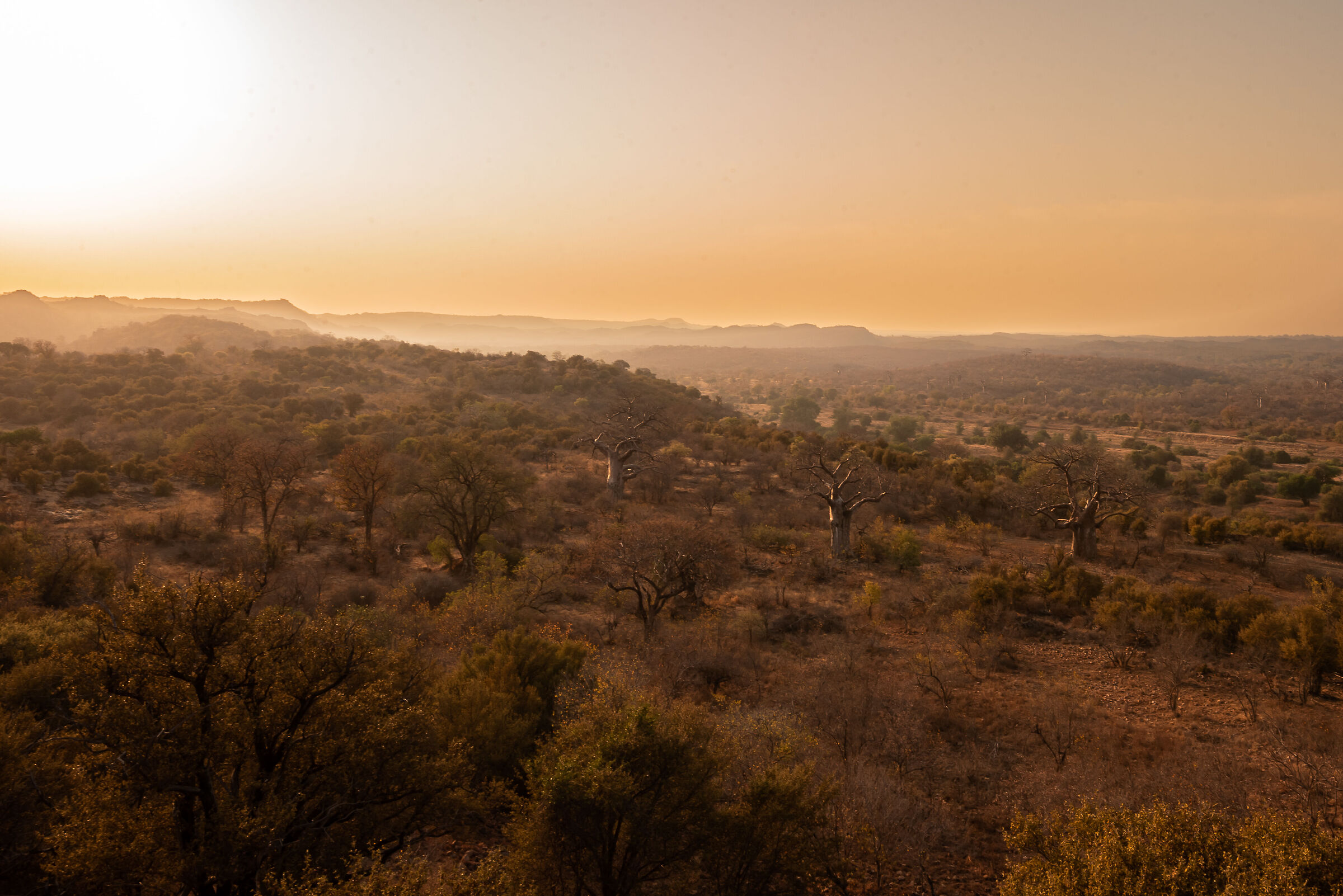 L'alba sui baobab degli schiavi