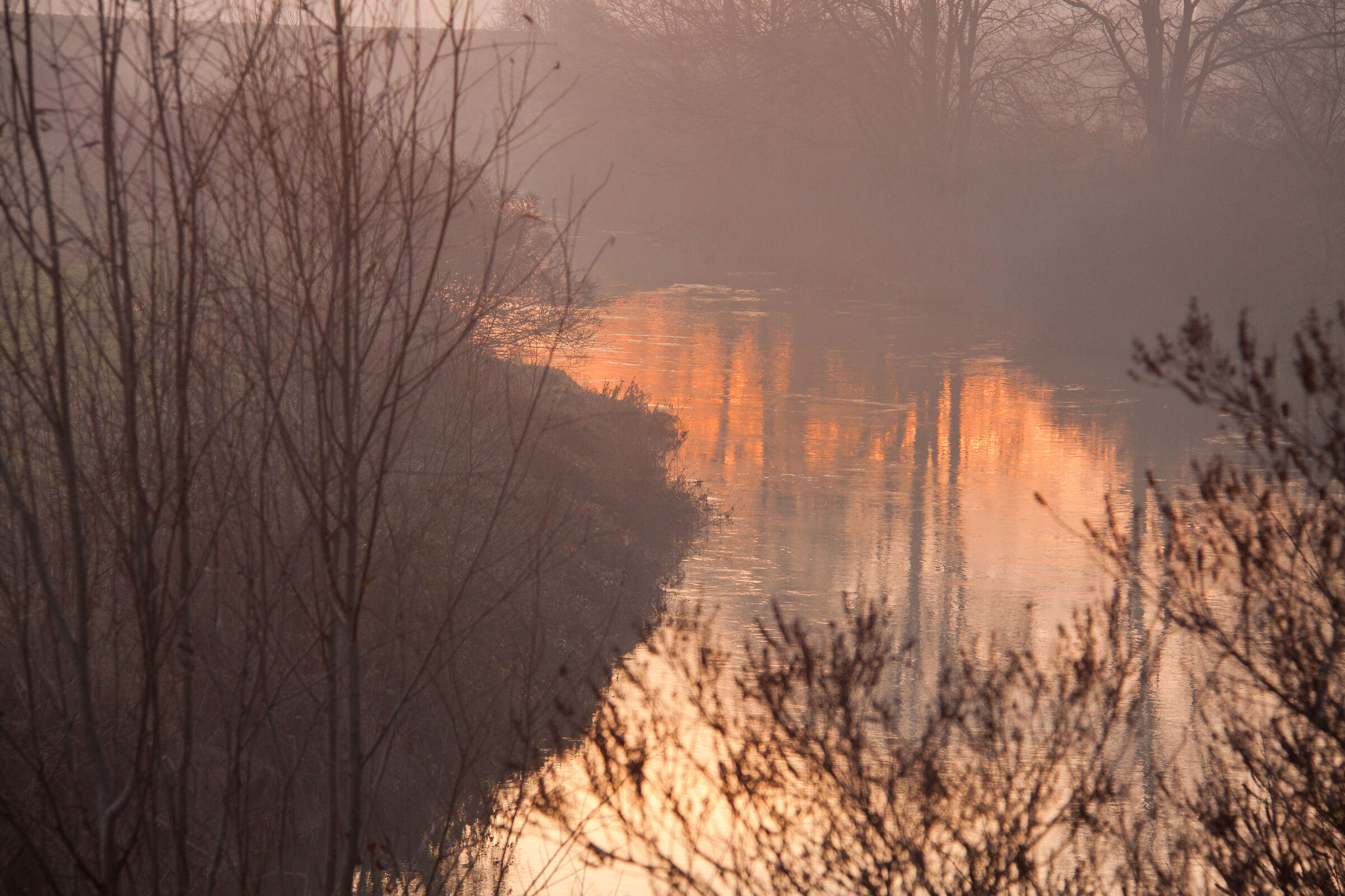 Canale vigenzone, Cagnola (Pd)