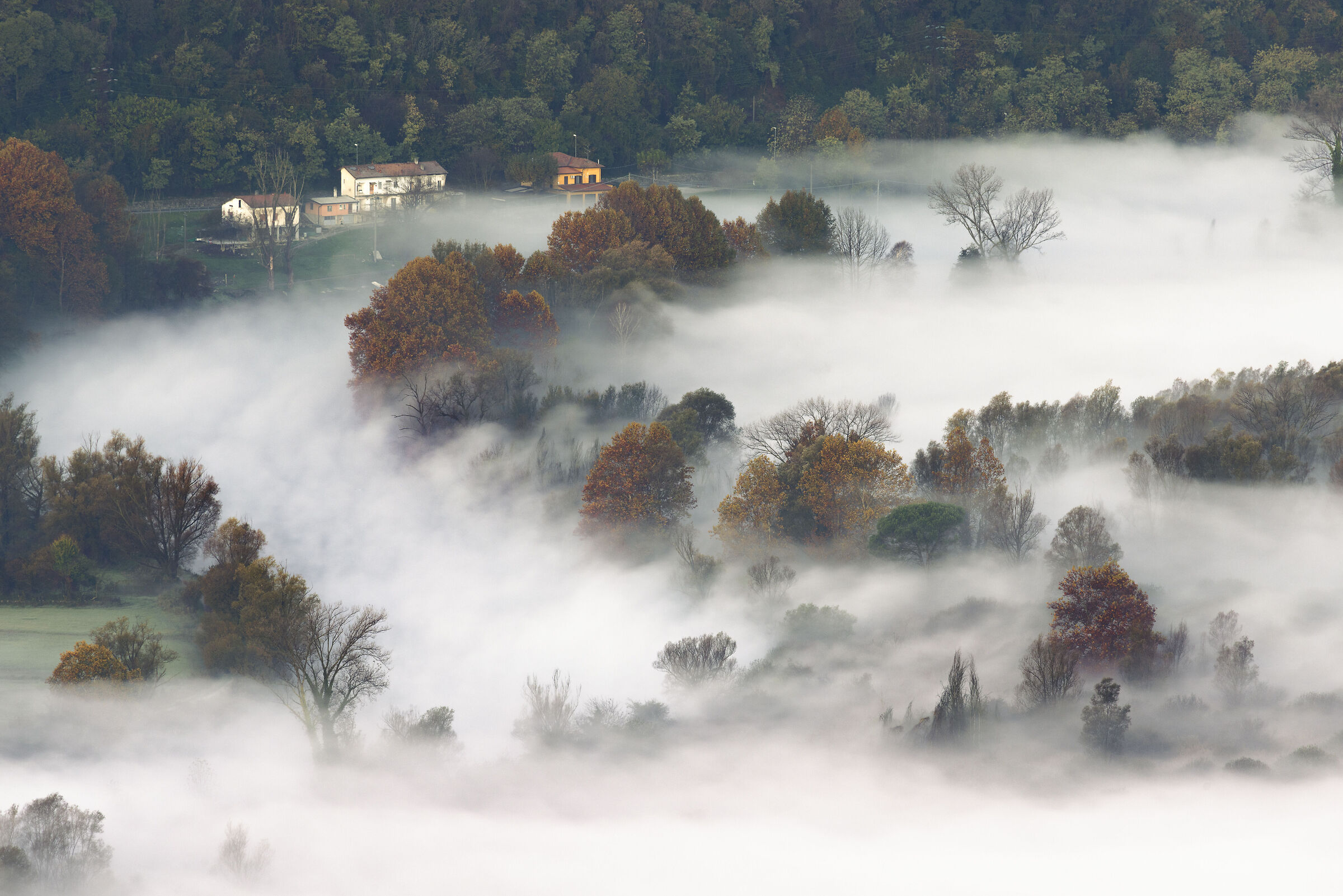 At the edge of the fog
