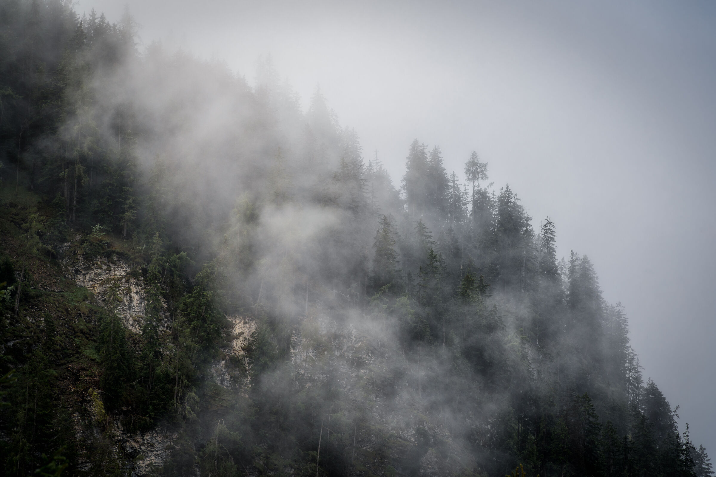 Nebbia sulle alpi Svizzere