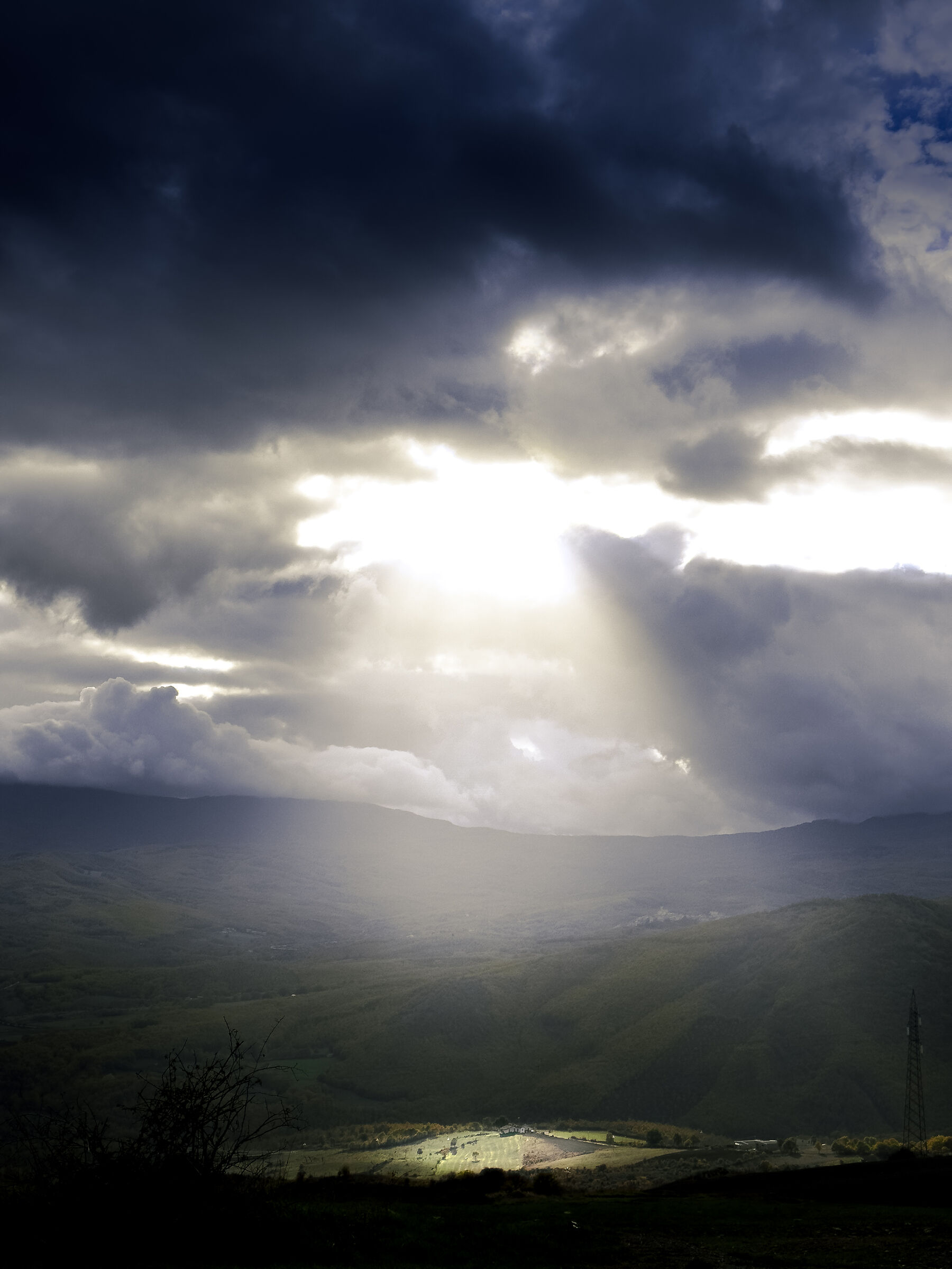 Luce sulla natura