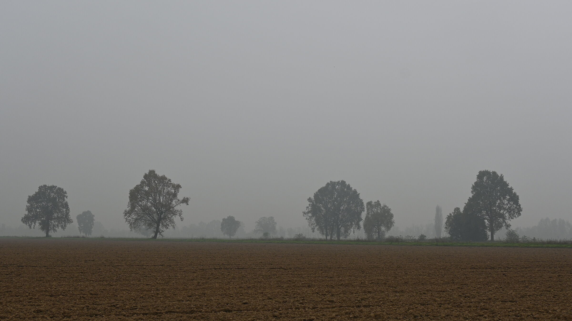 Progression in the fog