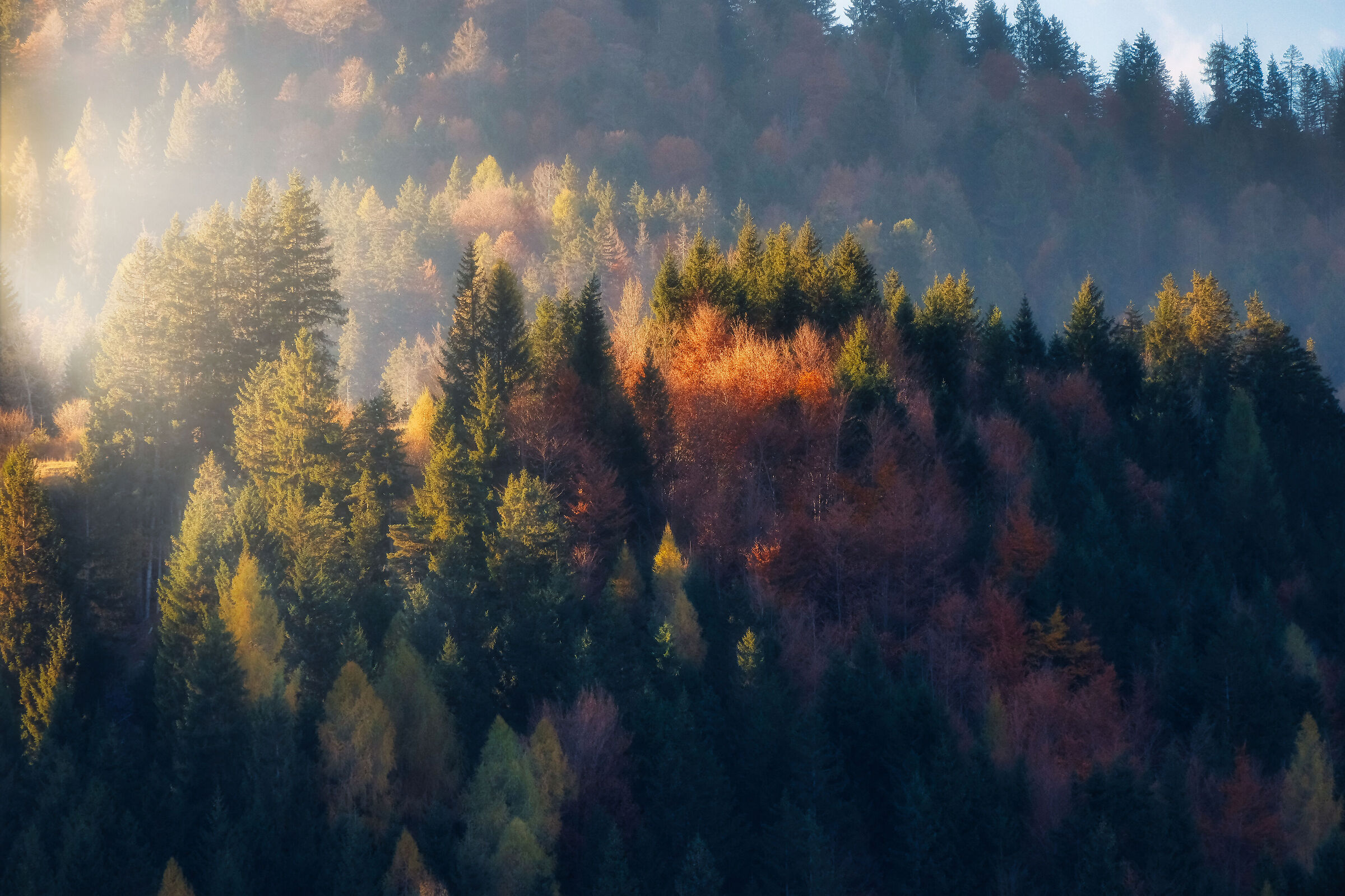 I colori dell'autunno