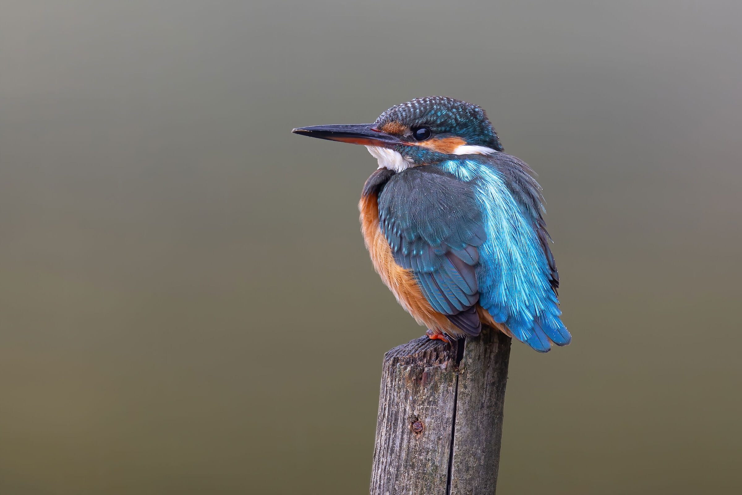 On the post
