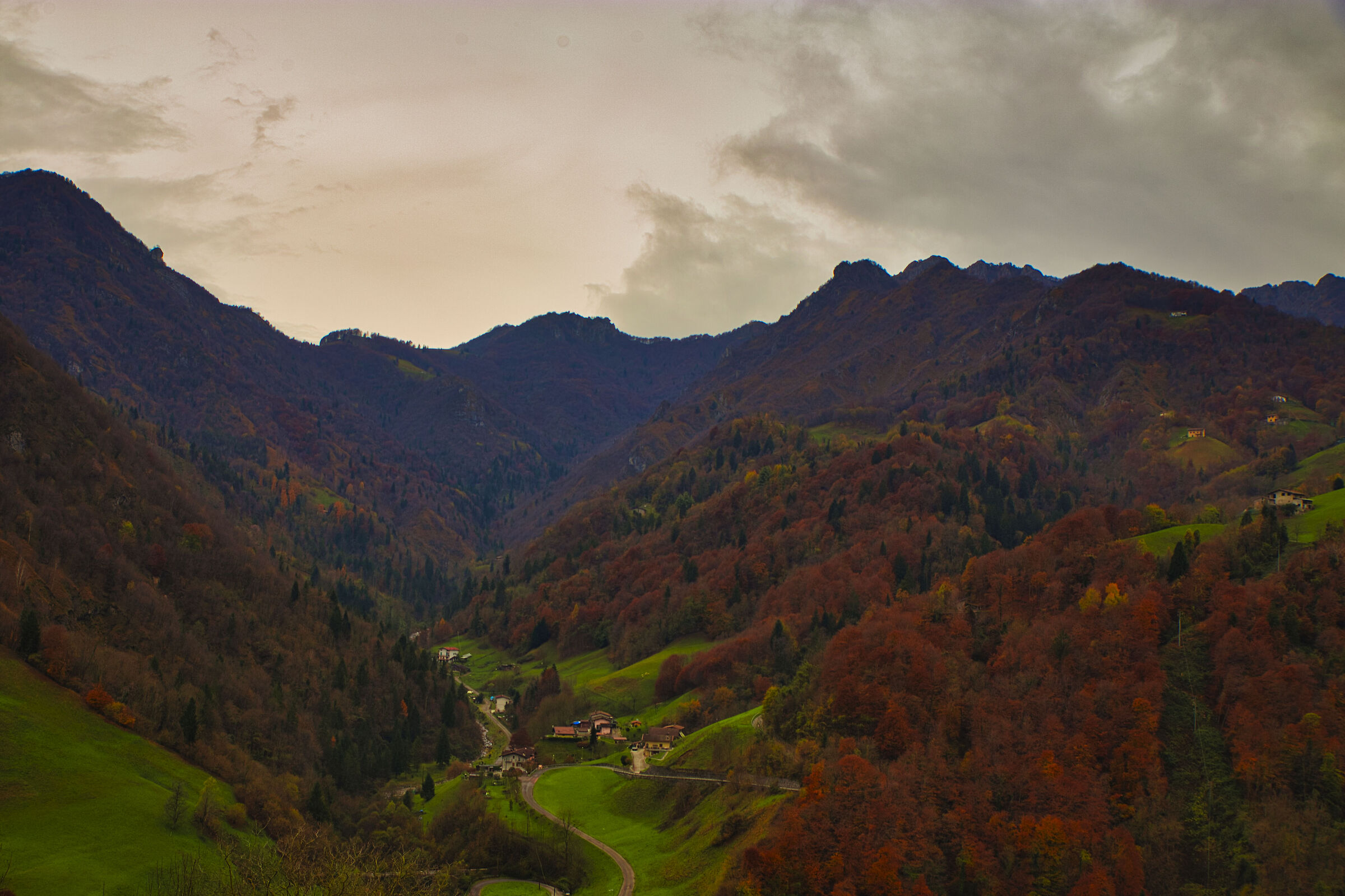 Autumn colors