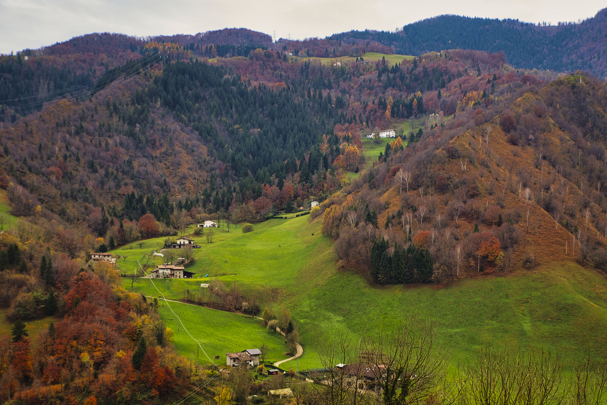 Autumn colors