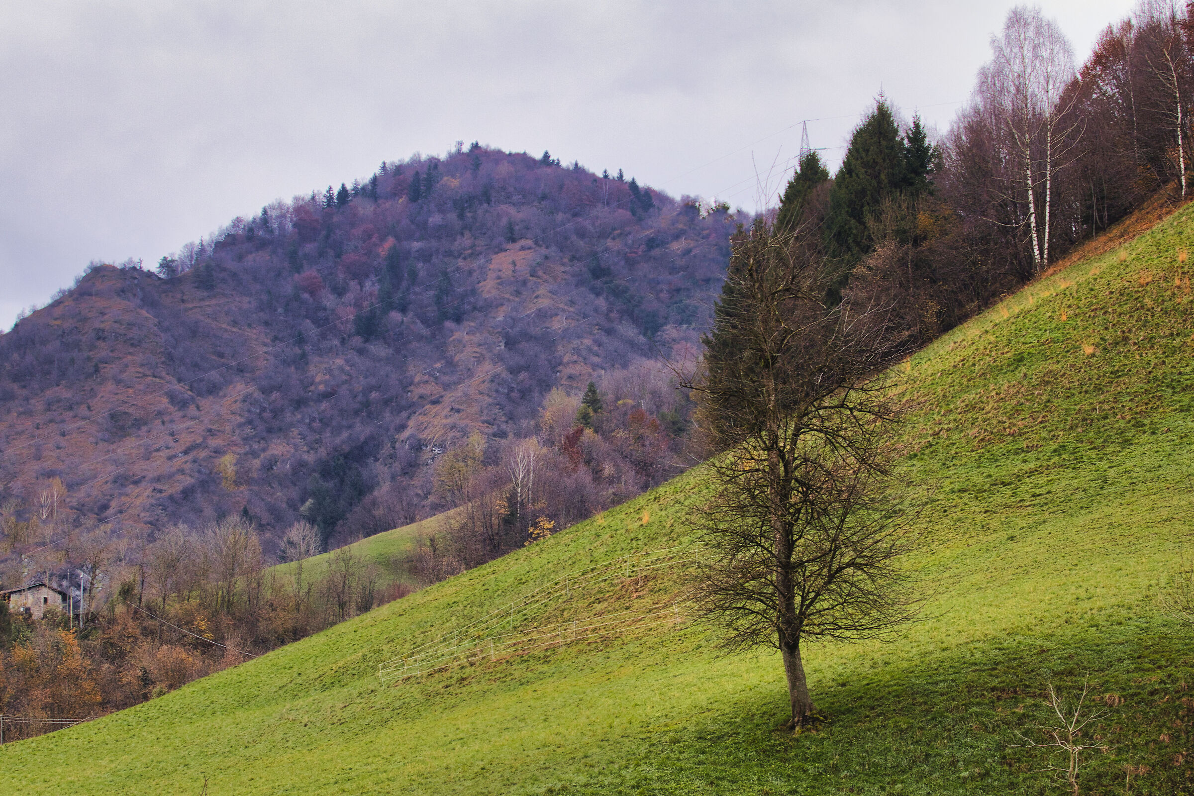 Autumn colors