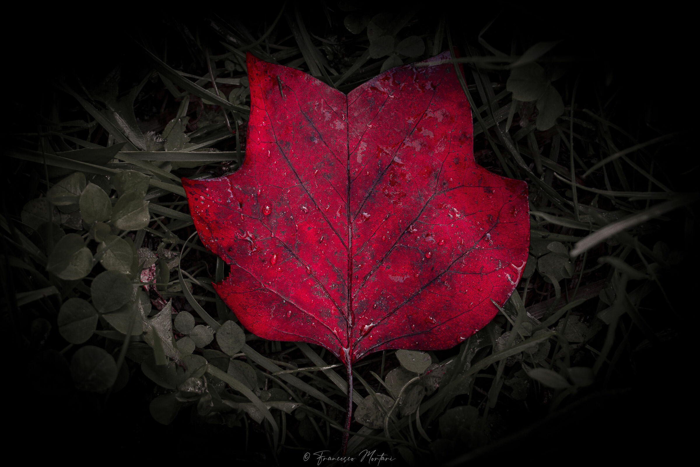 I Colori dell' Autunno