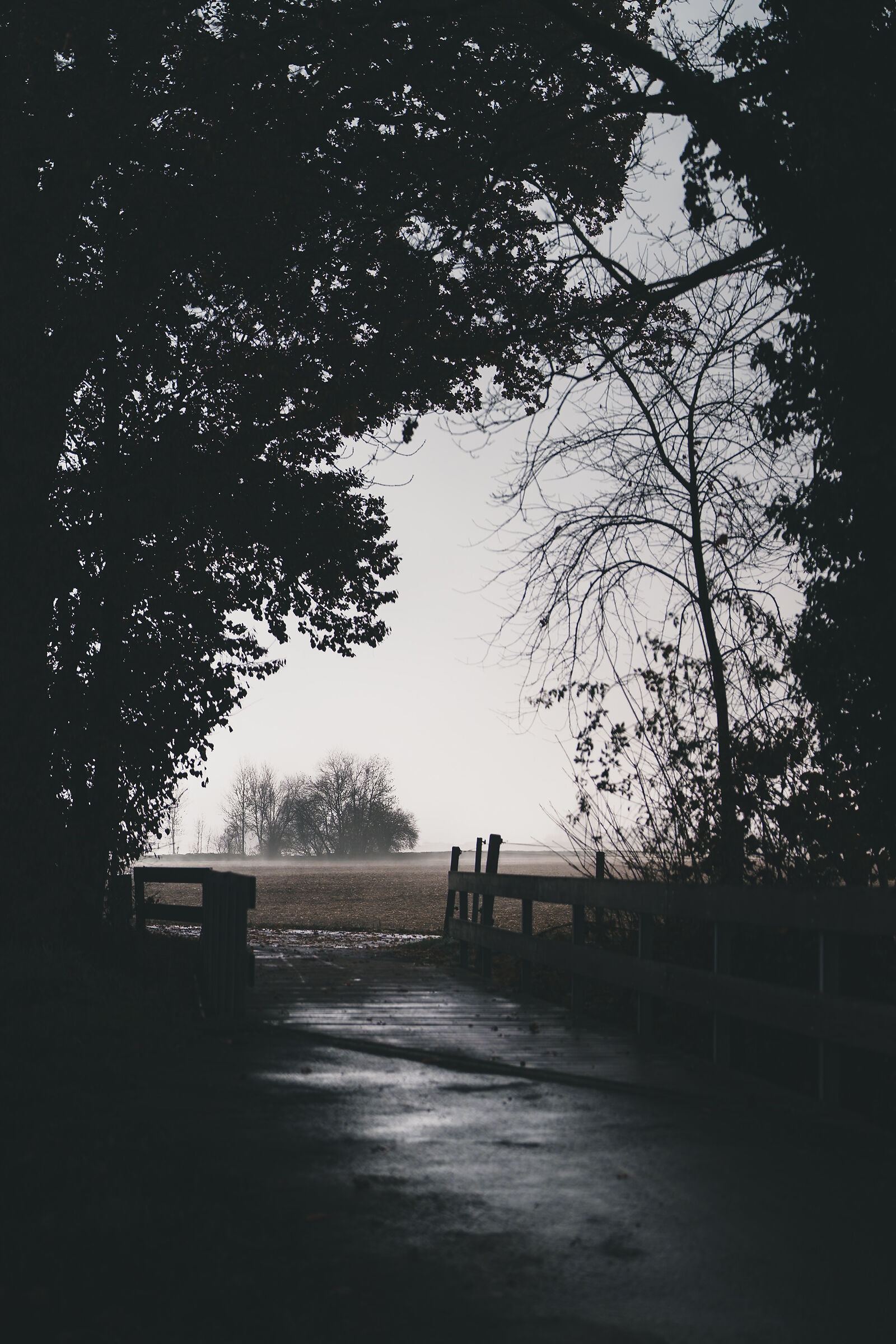 Una finestra in un'altro mondo