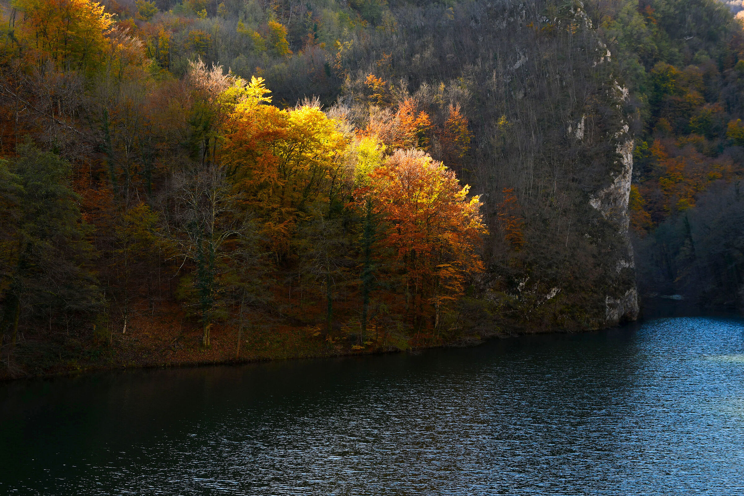 Prima che arrivi l'inverno