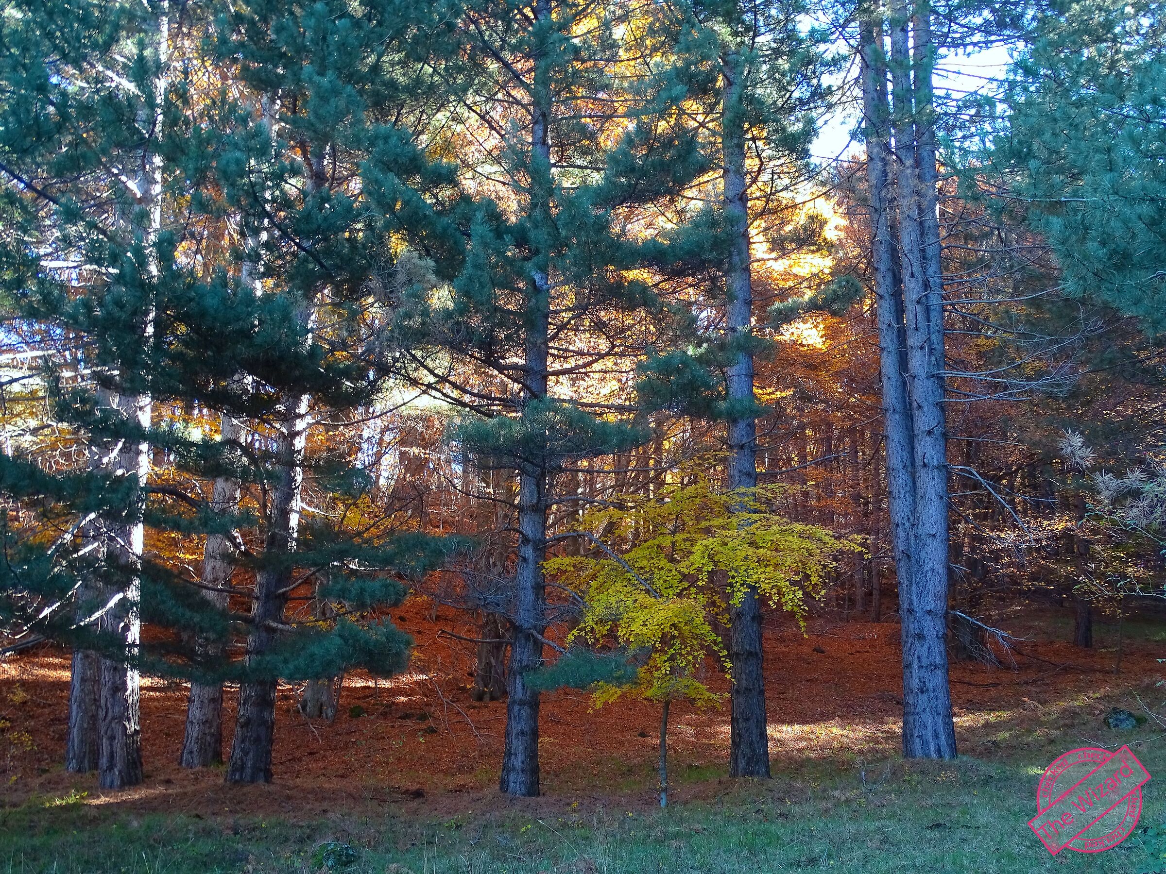 Colori d'autunno