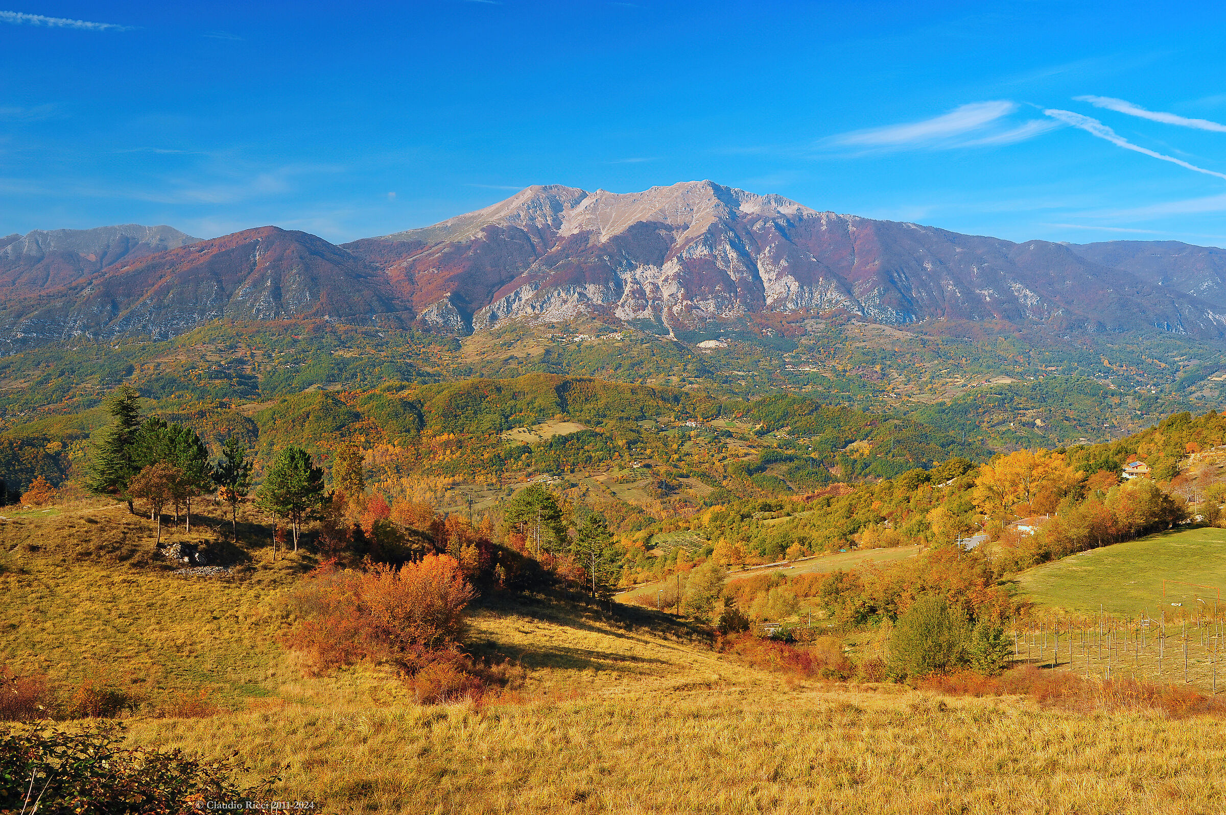 Foliage of Abruzzo