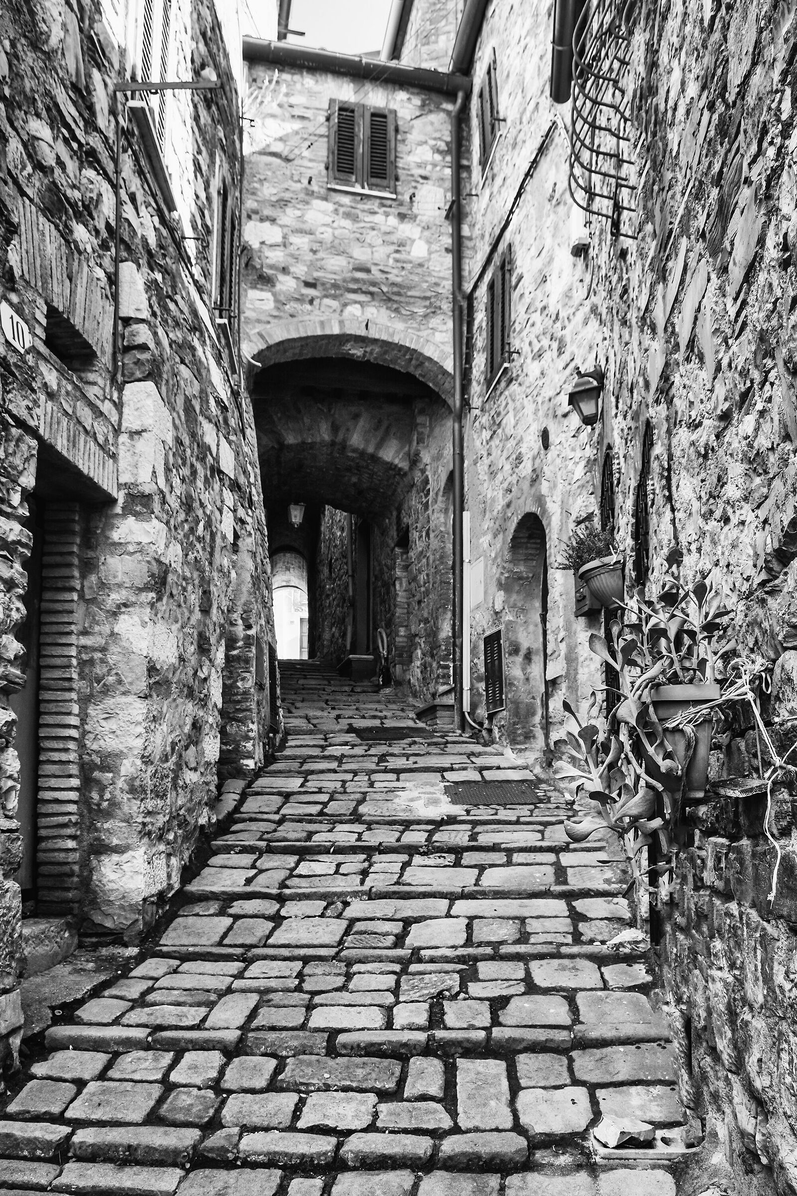 I vicoli di Monteverdi Marittimo