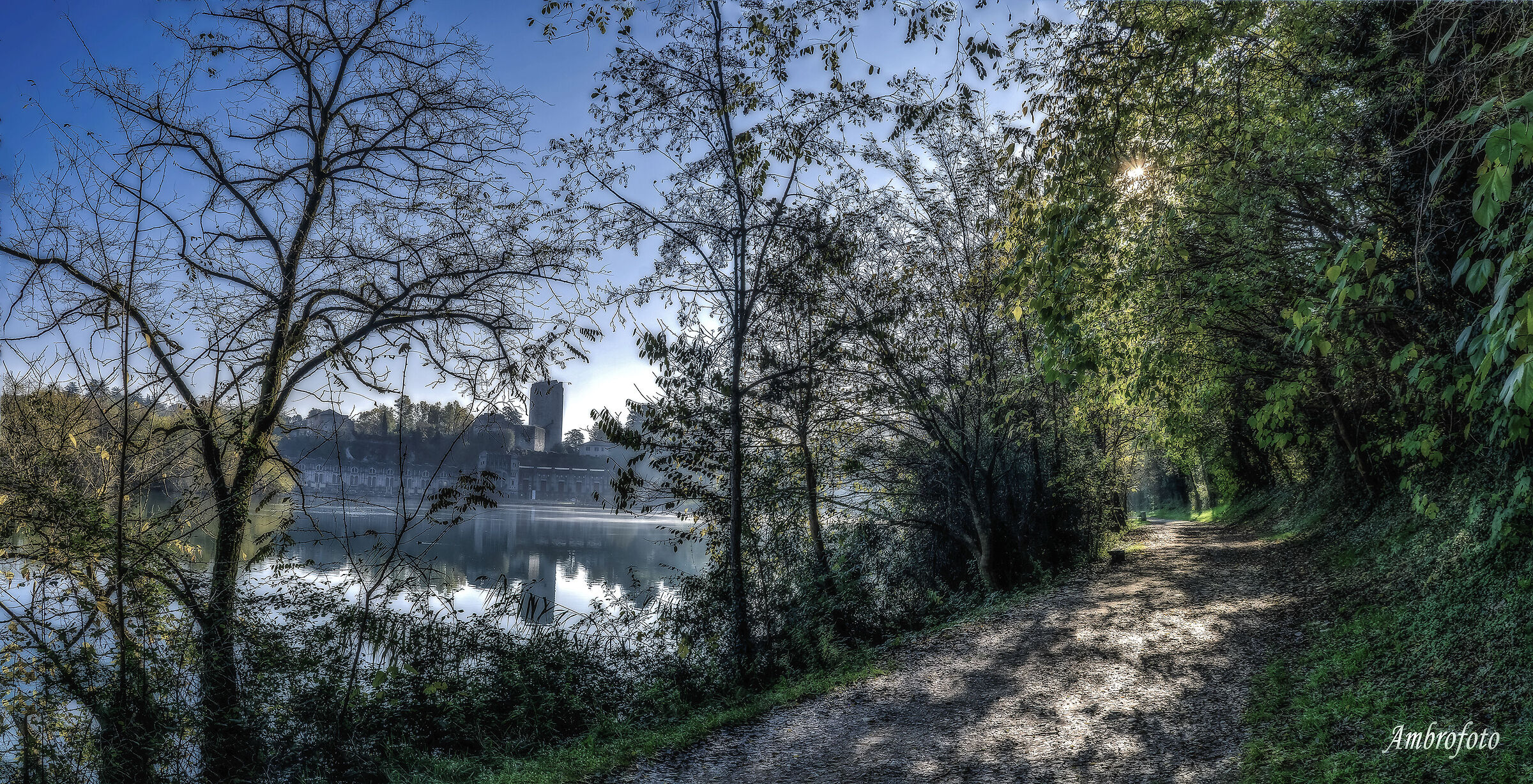 ...vieni c'é una strada nel bosco...
