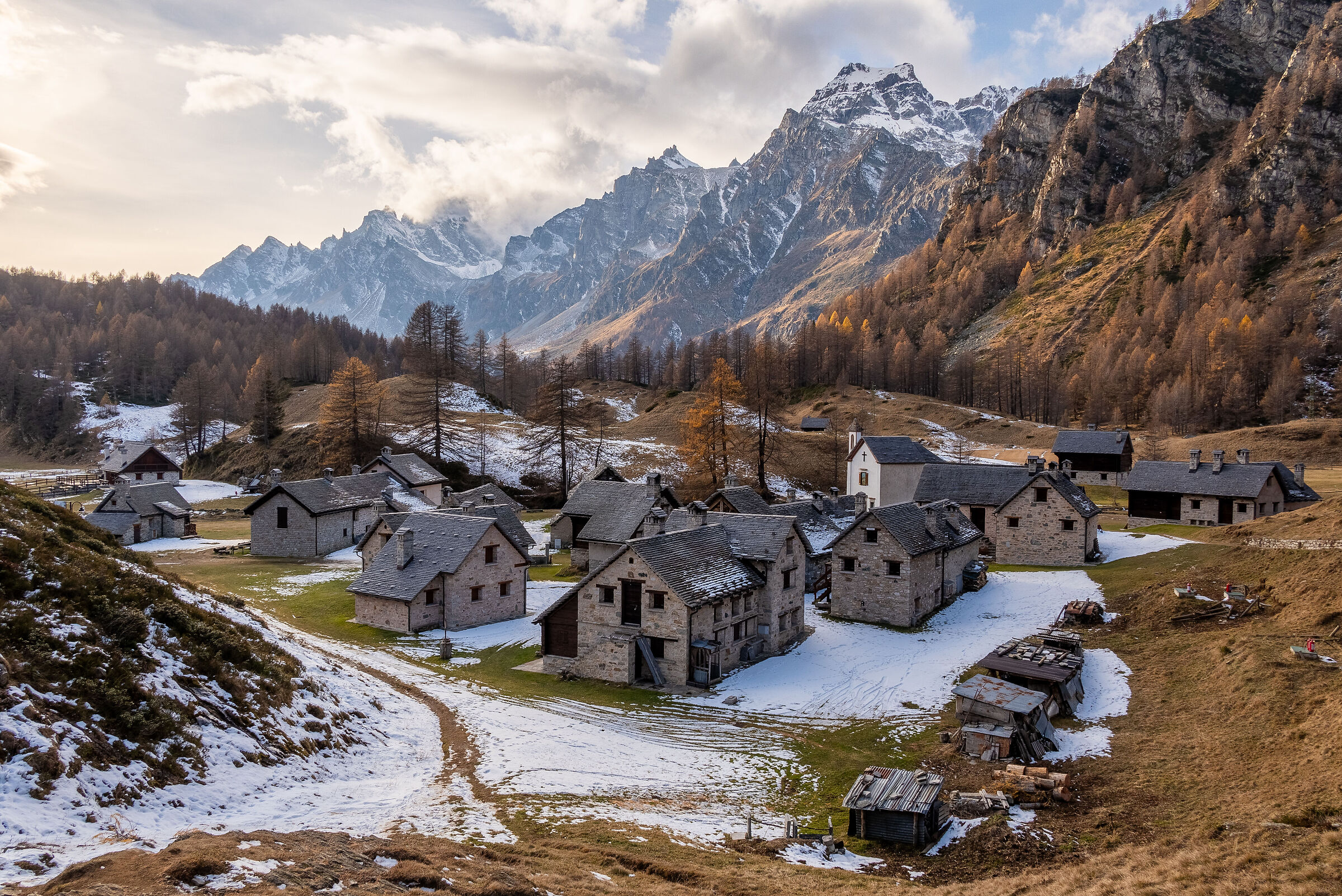 Crampiolo d'autunno