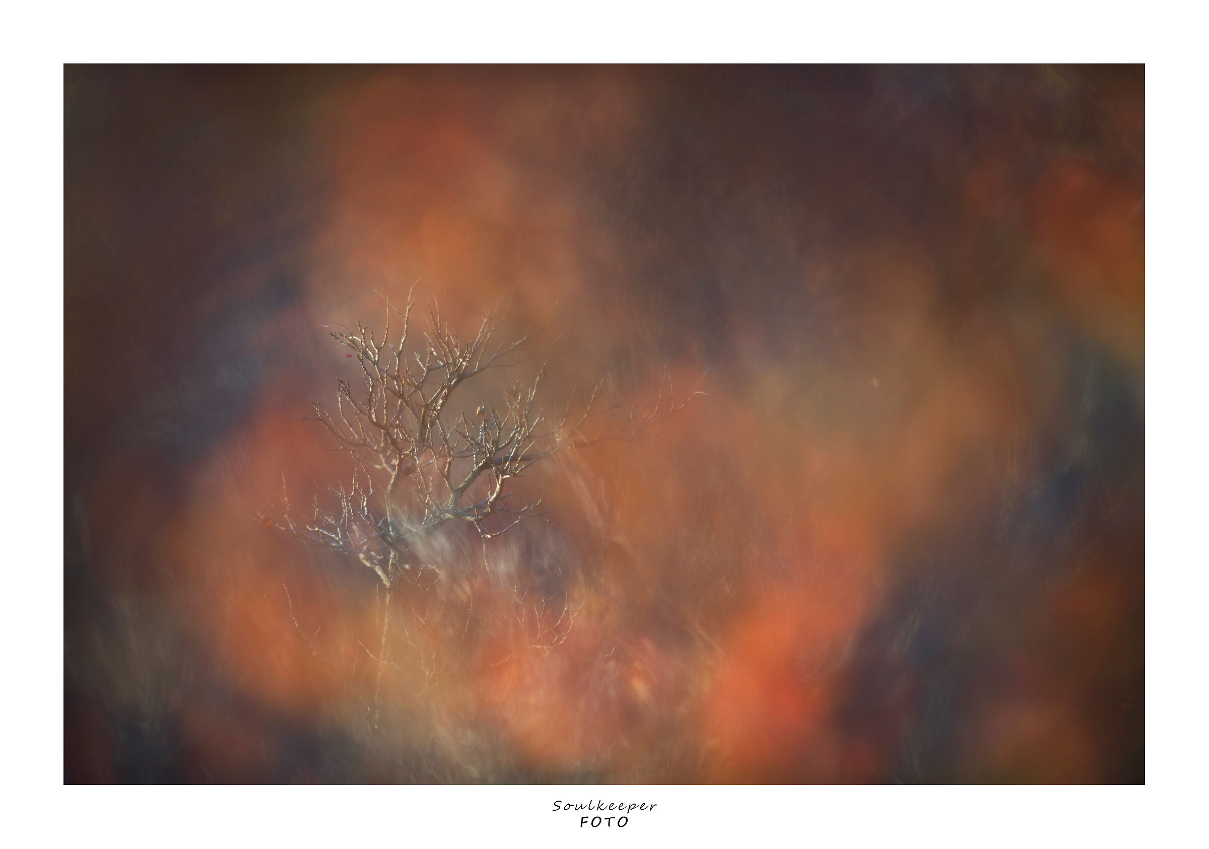 What remains of autumn.