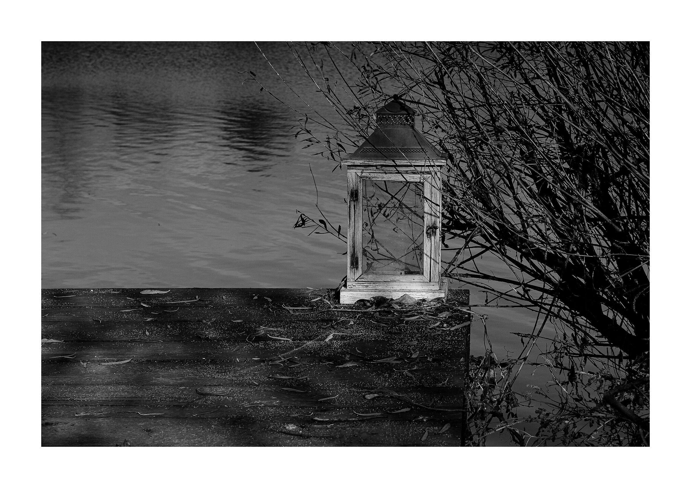 forgotten lamp