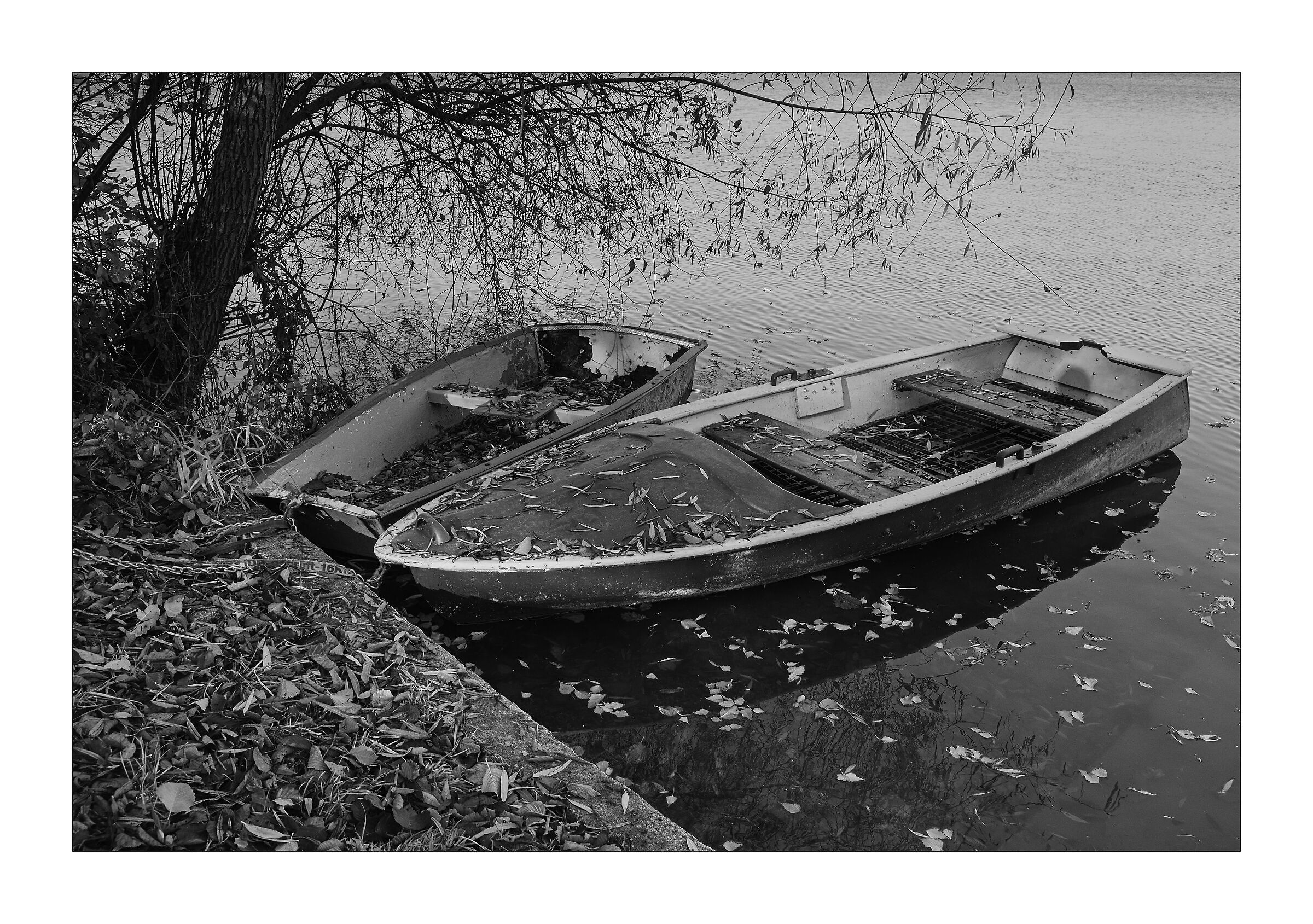 Boats