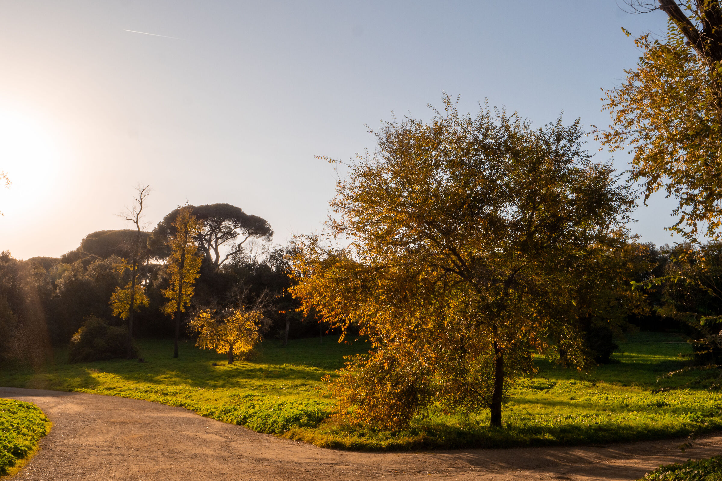 Autumn at Villa Pamphilij