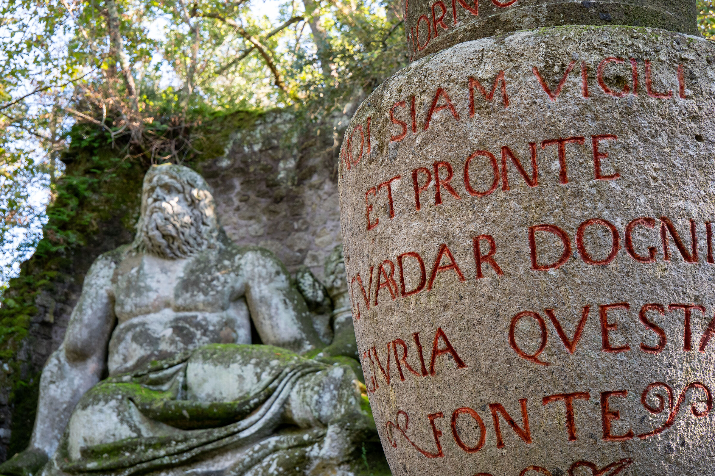 The mystery of the sacred grove